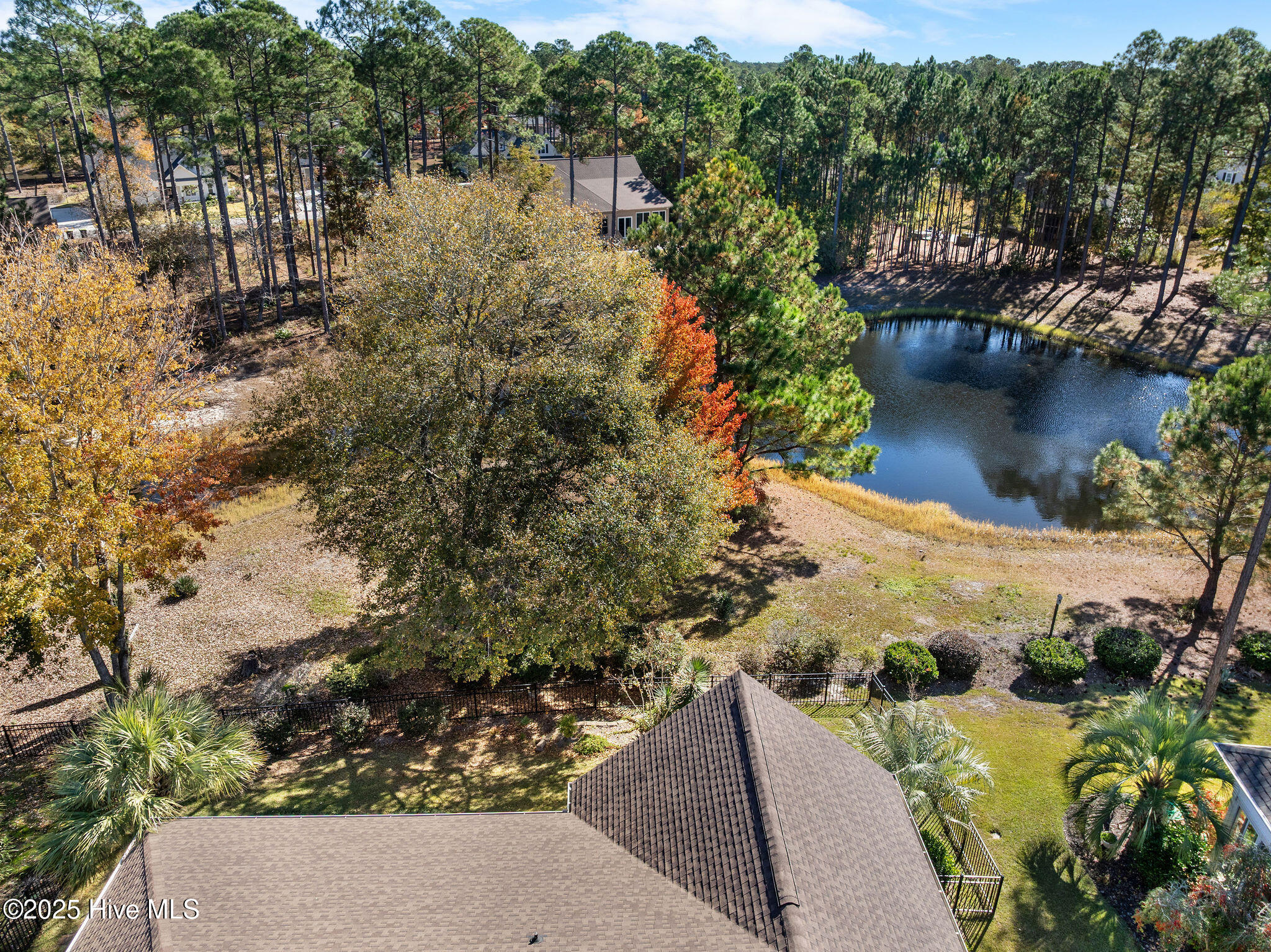 100542530 | Photo 57