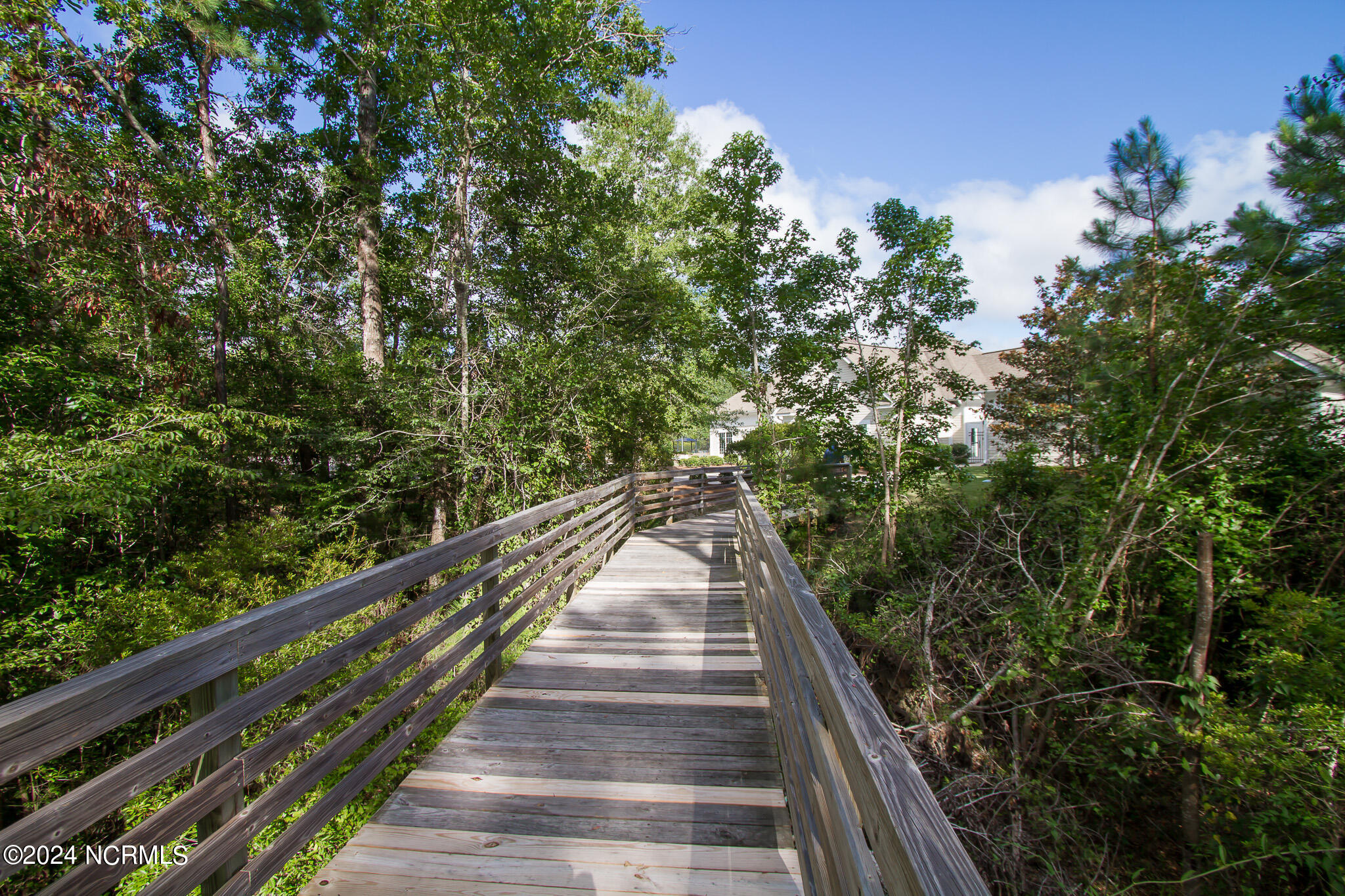 100455886 | Photo 17