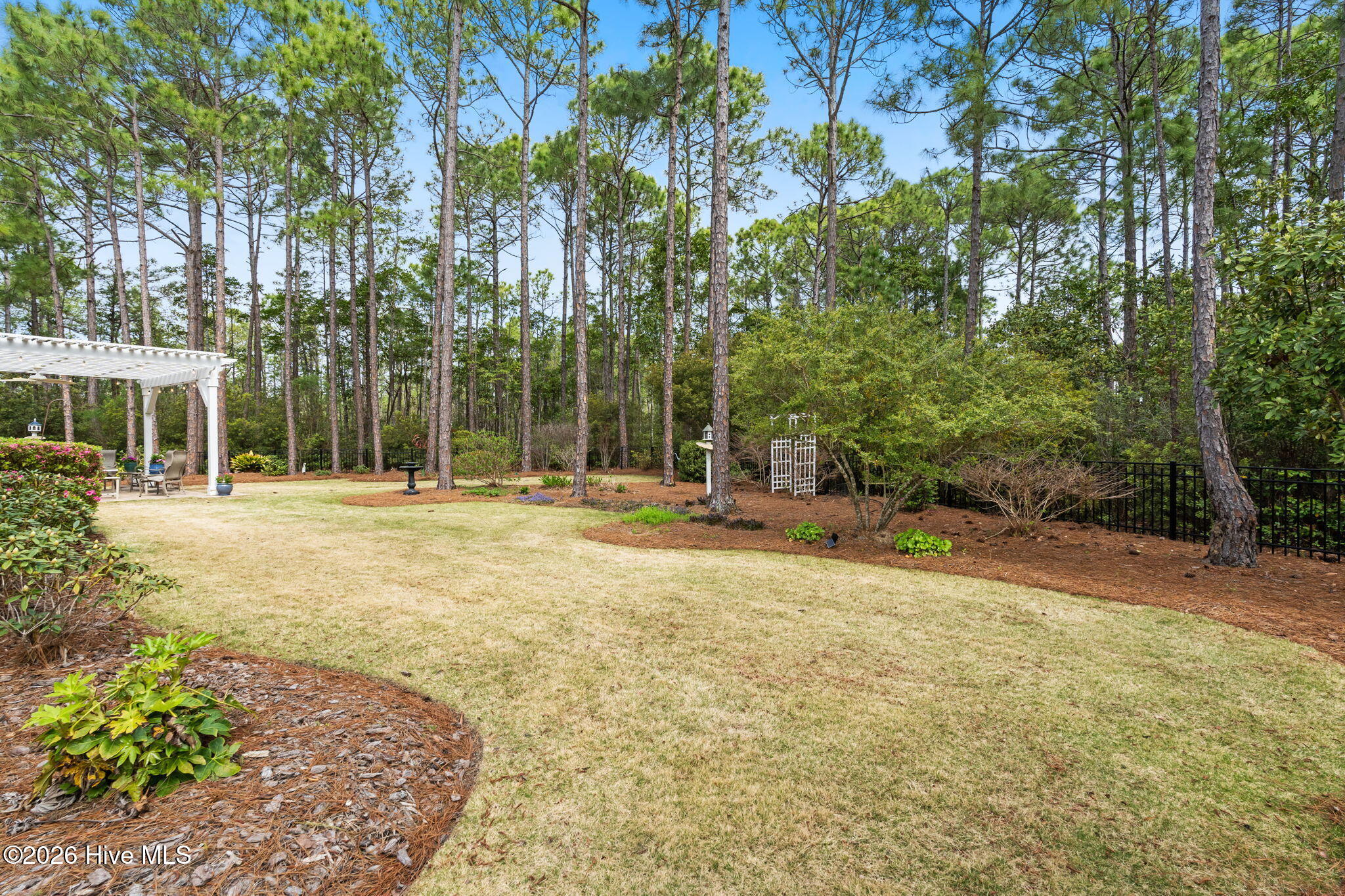 100566382 | Photo 58