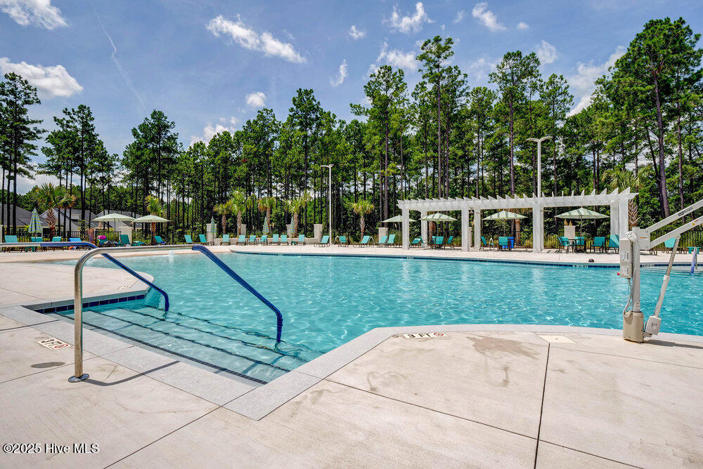 100539818 | Photo 46