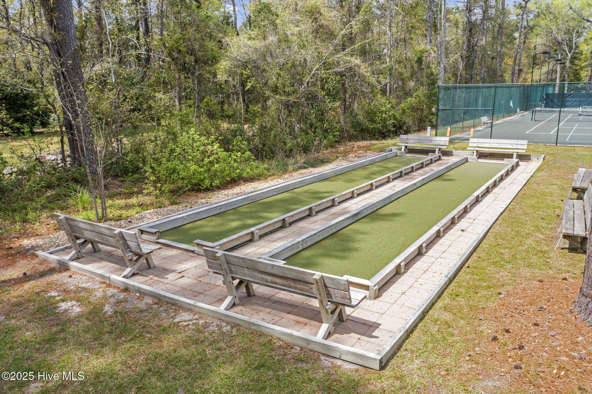 100537939 | Photo 56