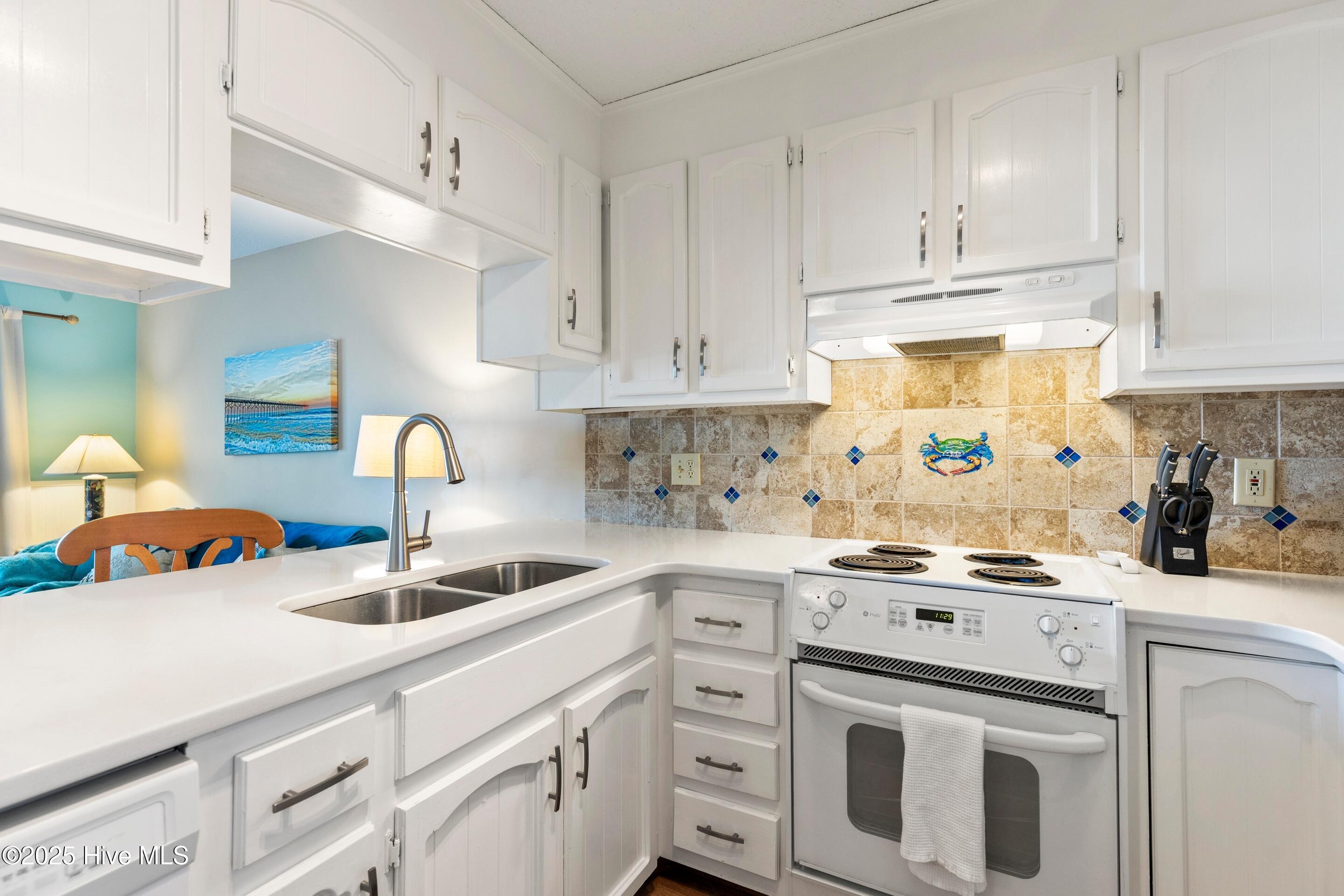 100541079 | Photo 15