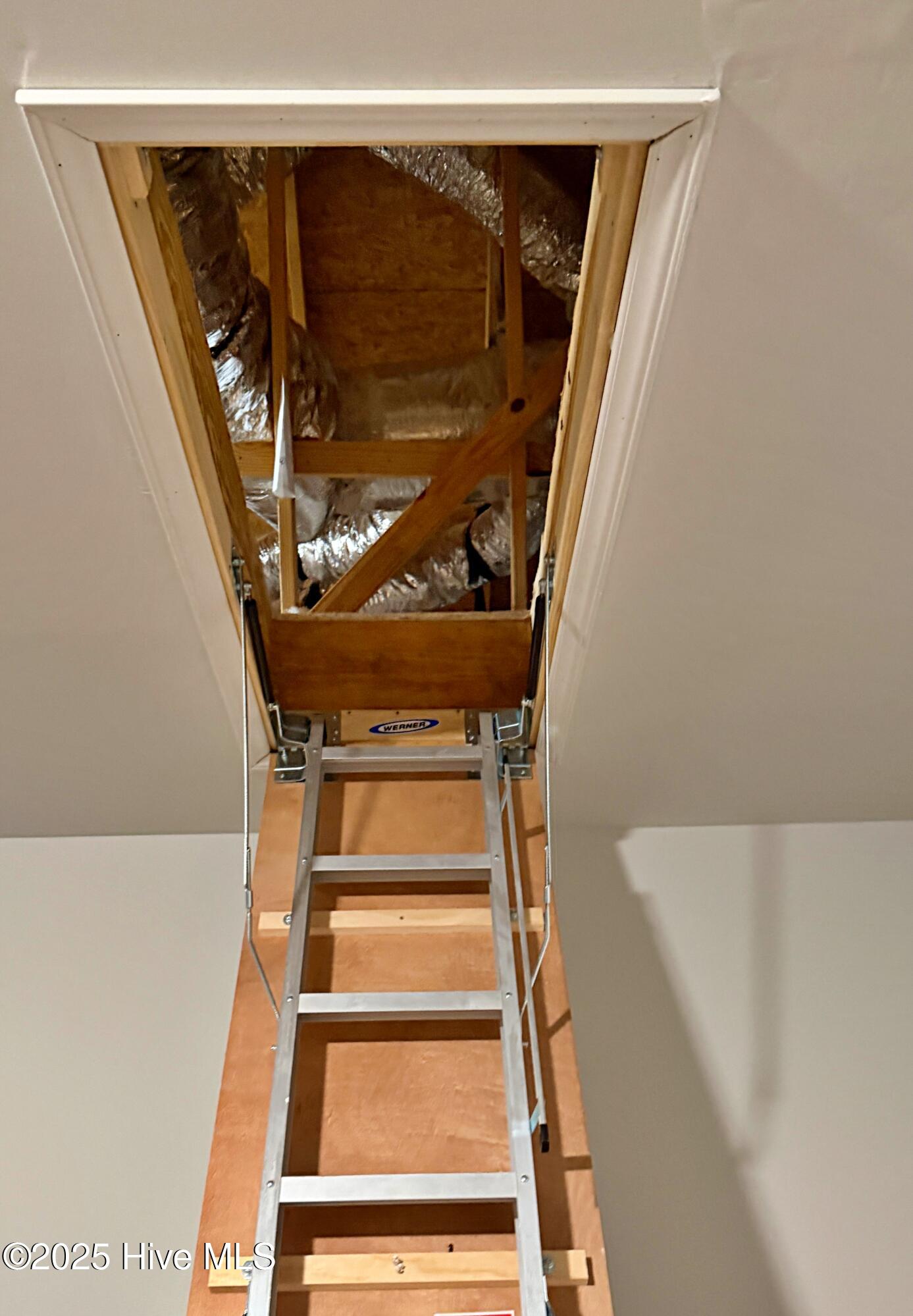 100547065 | Photo 34