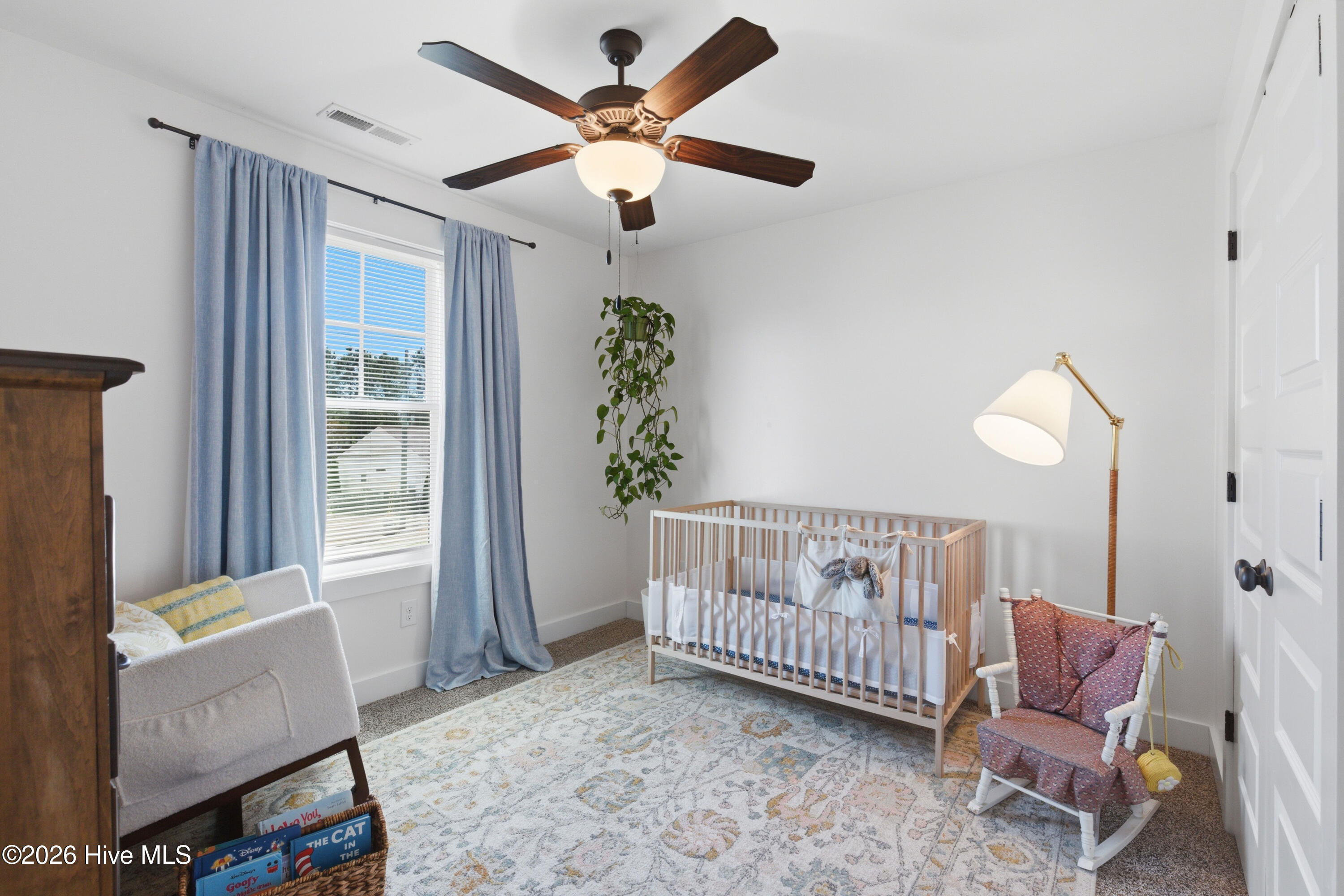 100562643 | Photo 32