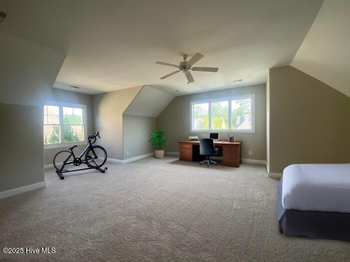 100504440 | Photo 19