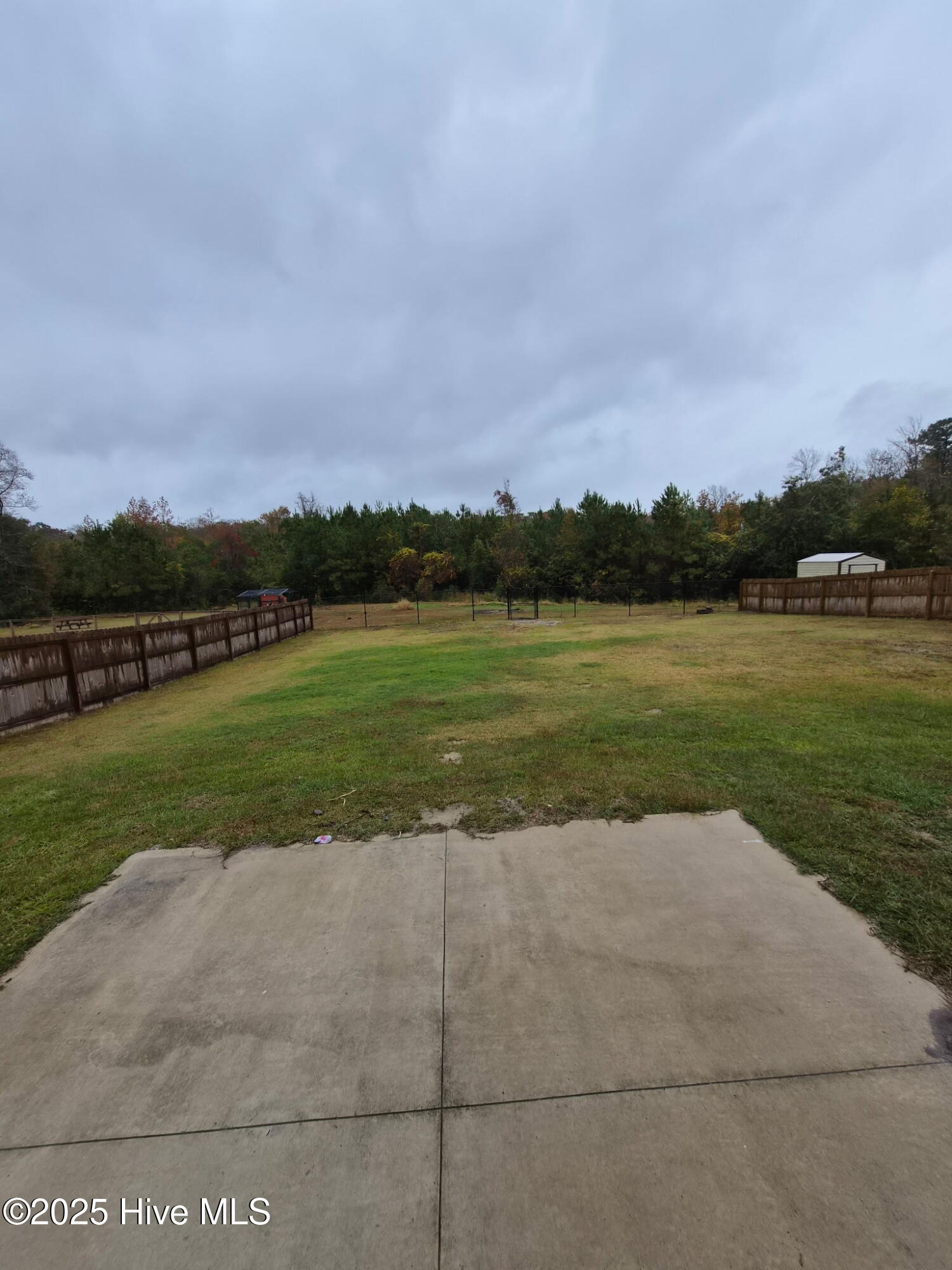 100539577 | Photo 37