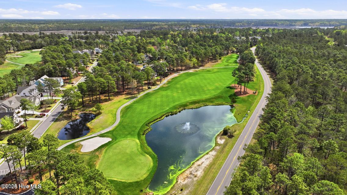 100568457 | Photo 17