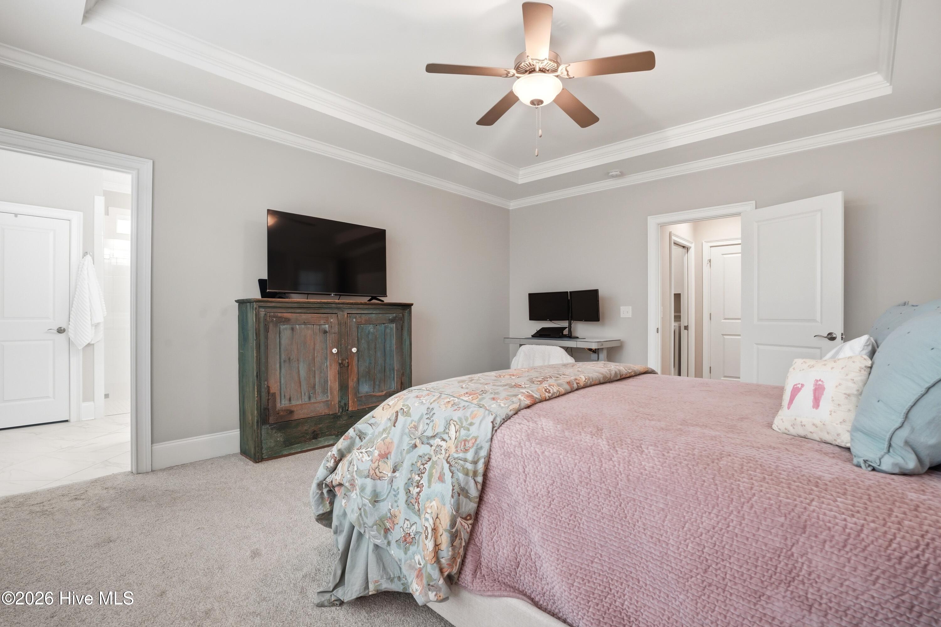 100561469 | Photo 30