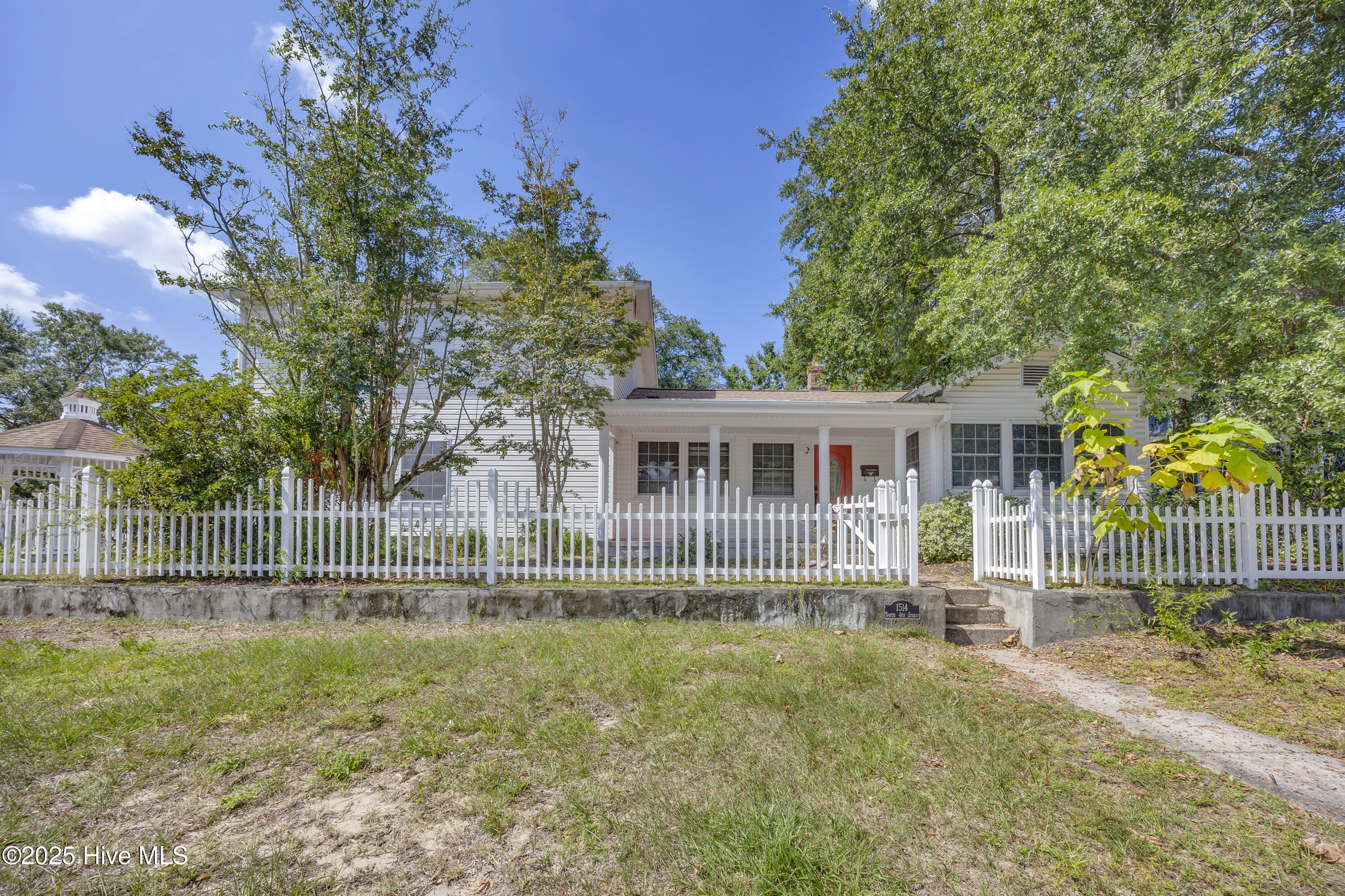 Web Image 1--NEW -- IMG_4009