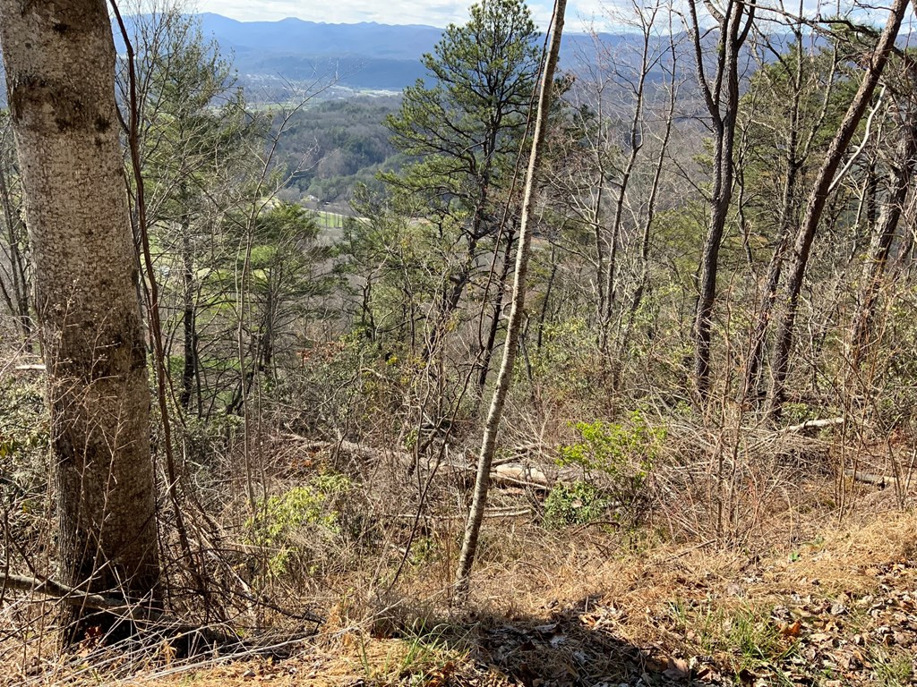 Homes for sale in Andrews, NC | Lot 22 Laramie Hts, Andrews, NC 28901 | MLS# 98544545