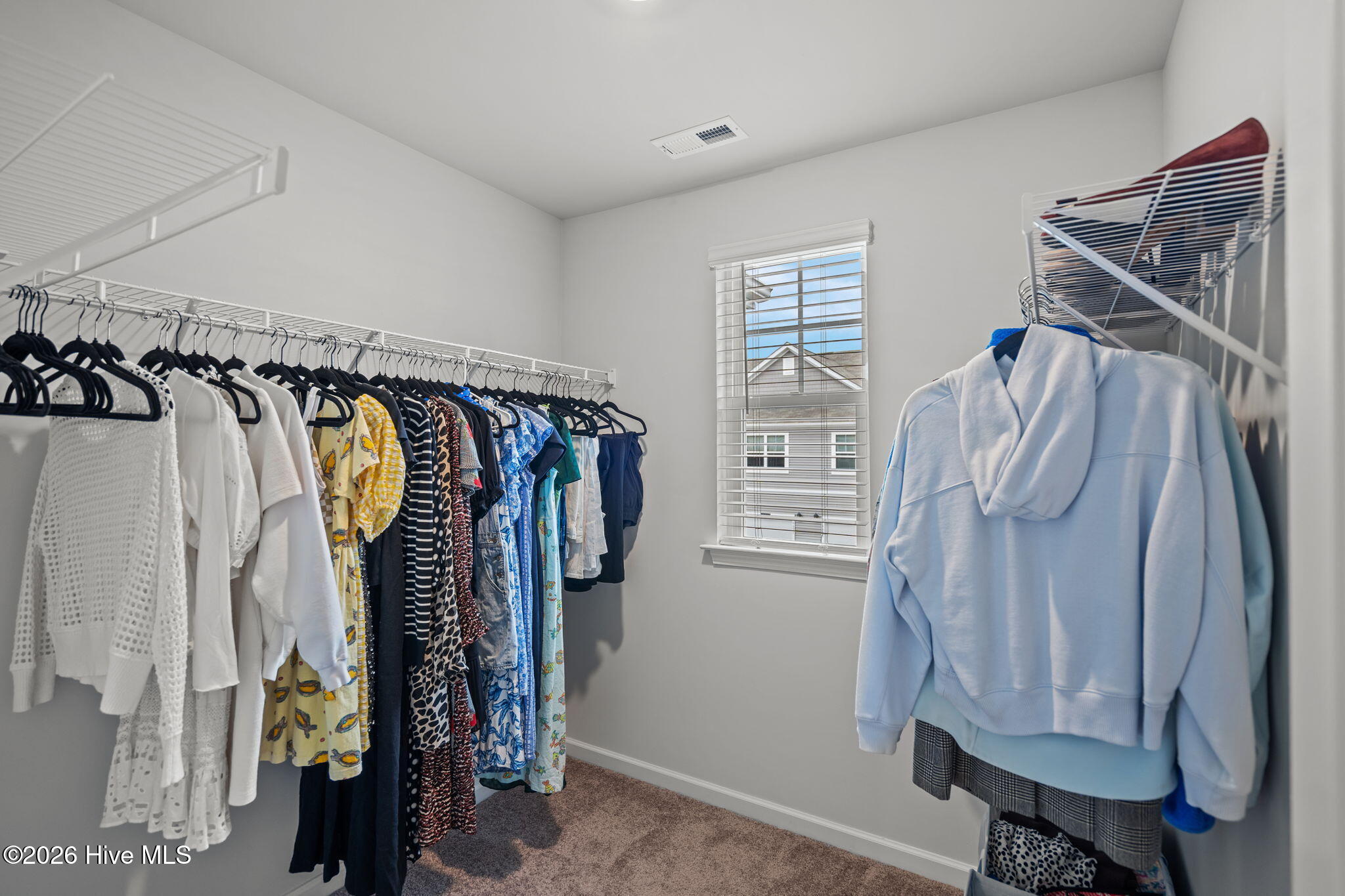 100555549 | Photo 24