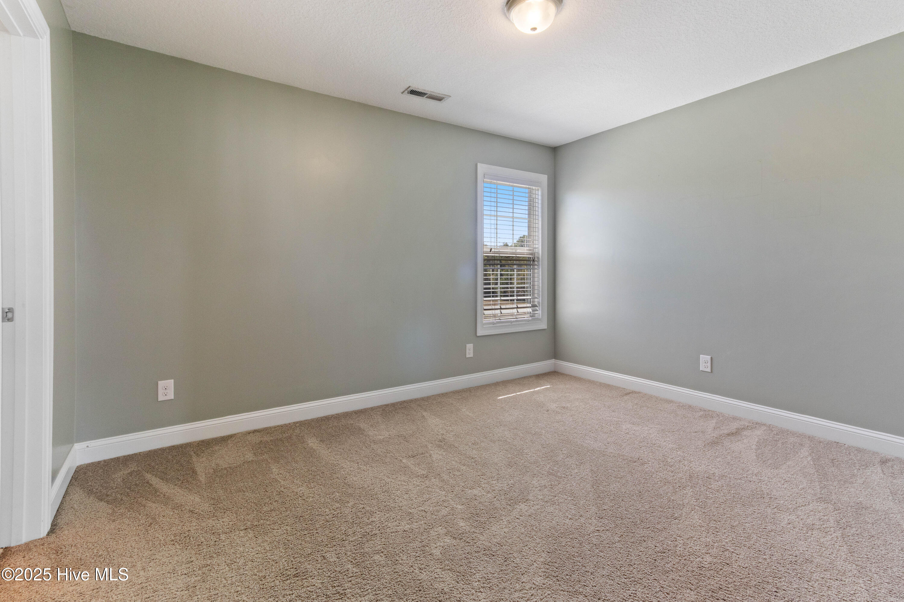 100528523 | Photo 37