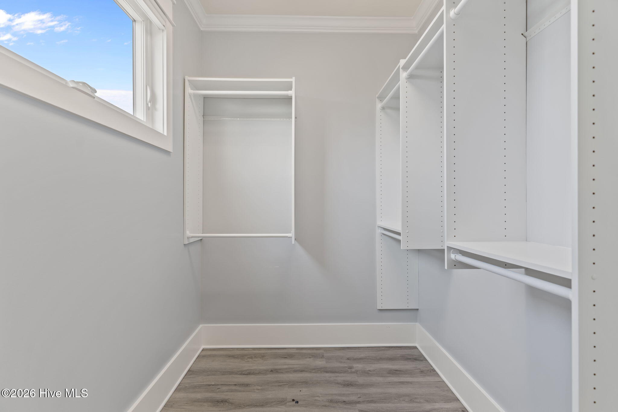 100562784 | Photo 20