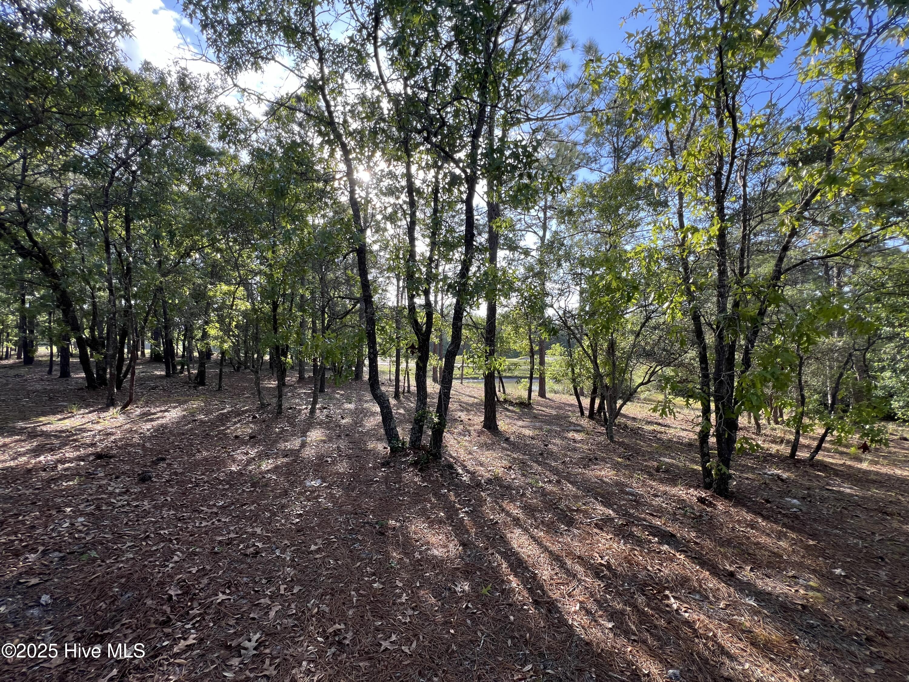 100506027 | Photo 26