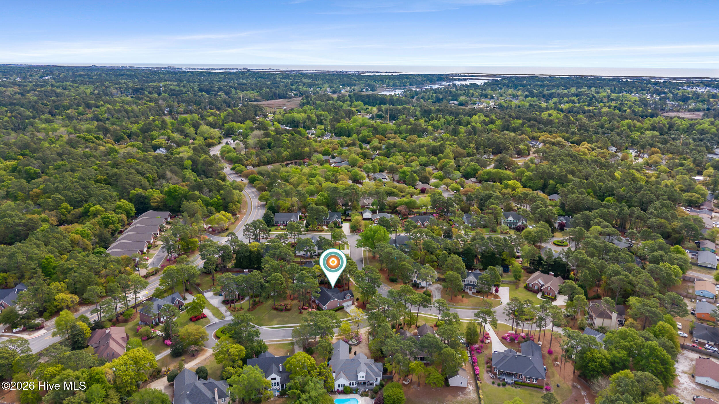 100566645 | Photo 39