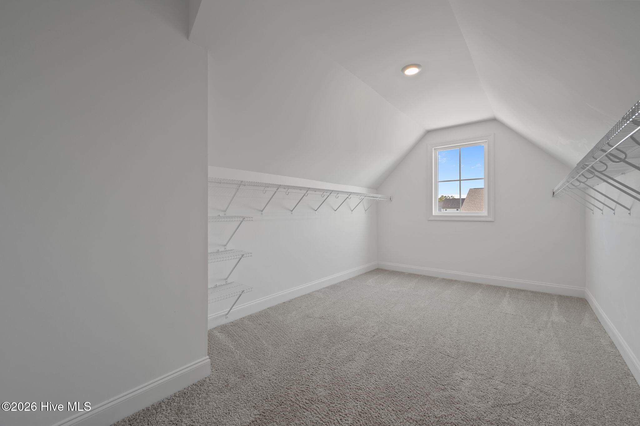 100567807 | Photo 39