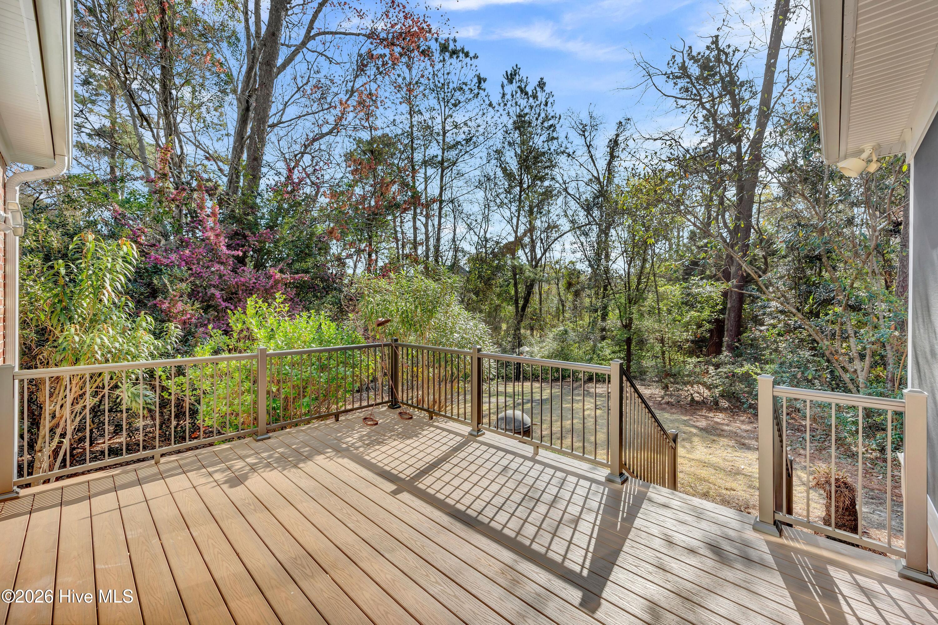 100559758 | Photo 46