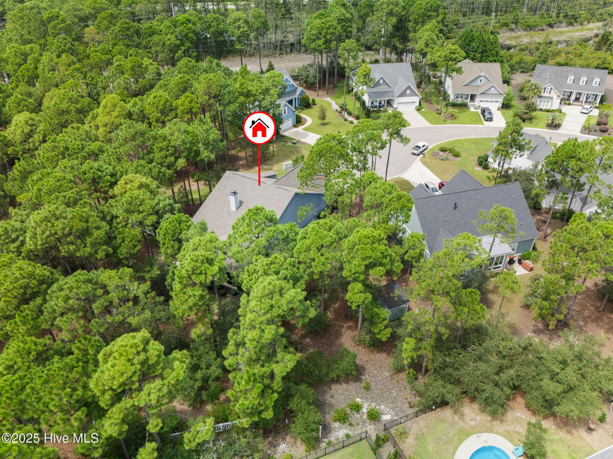 100529341 | Photo 61