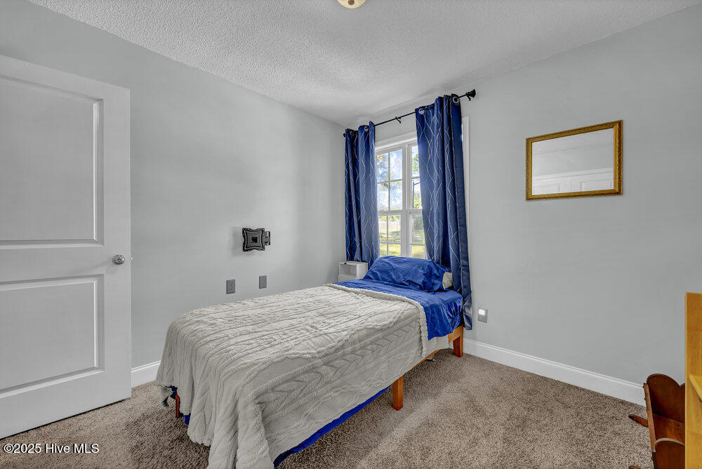 100537257 | Photo 21