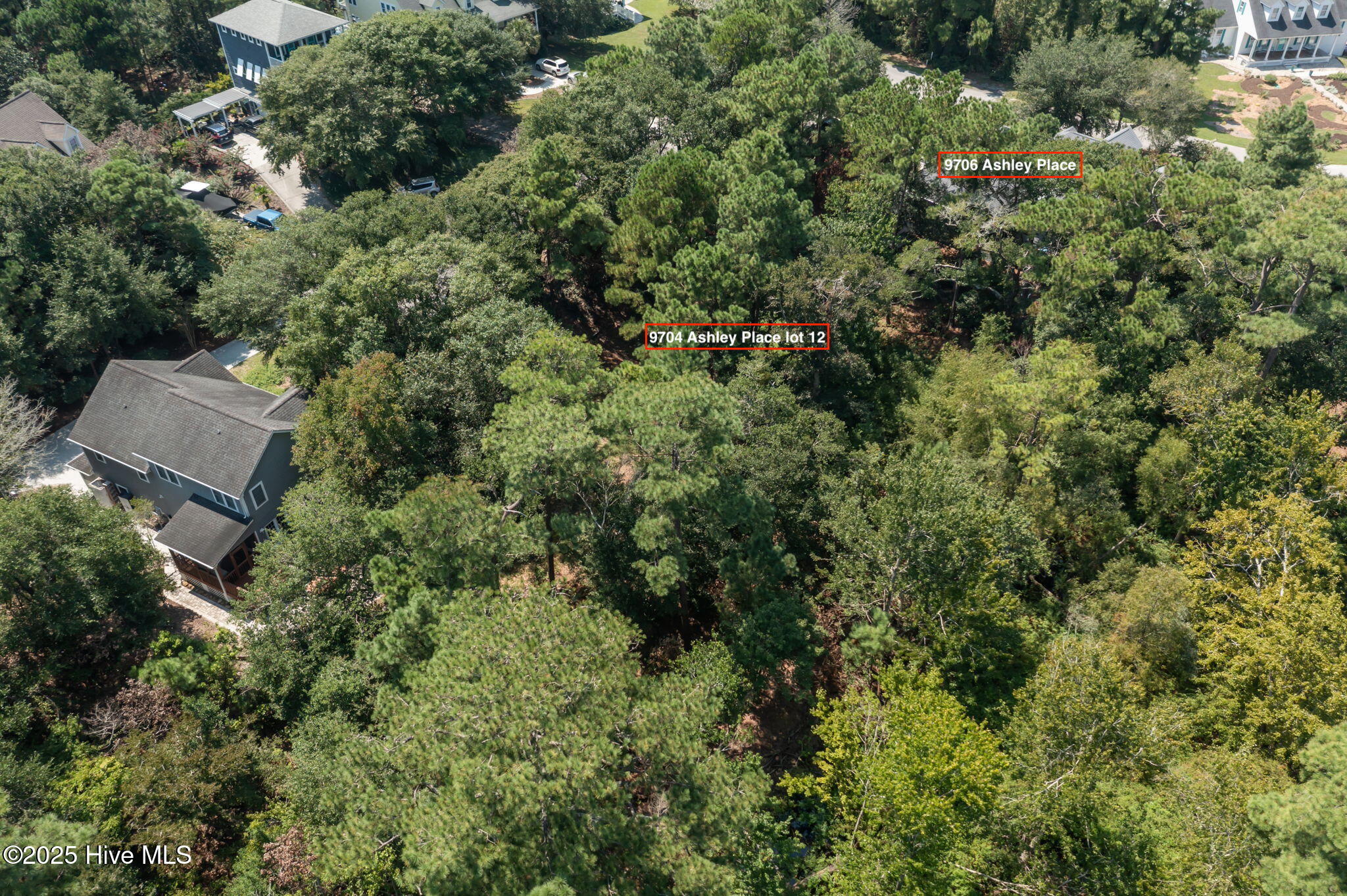 100526103 | Photo 14