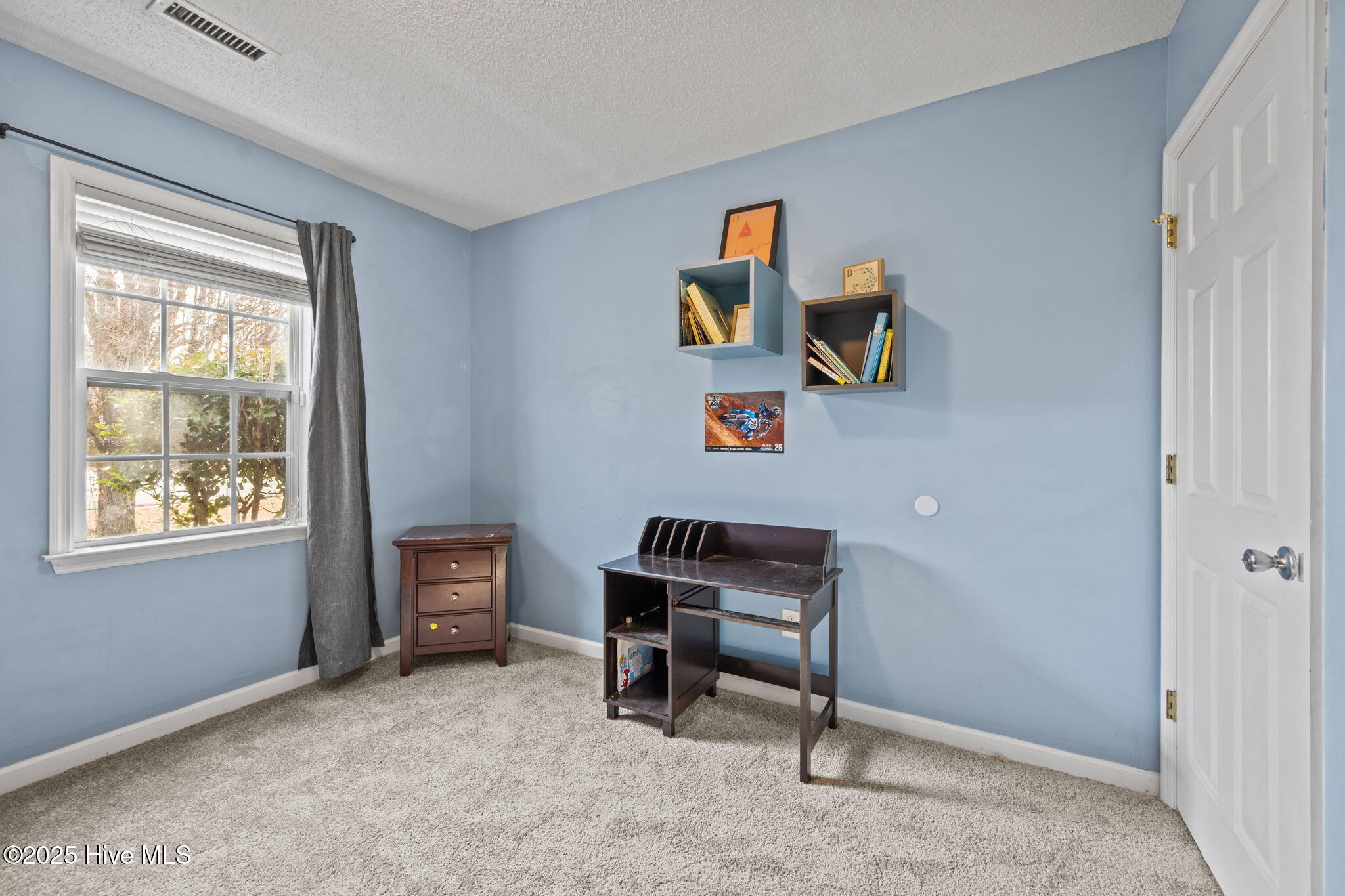 100546137 | Photo 28