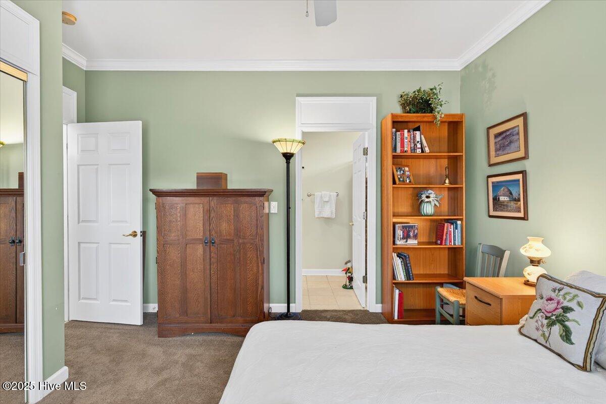 100539868 | Photo 31