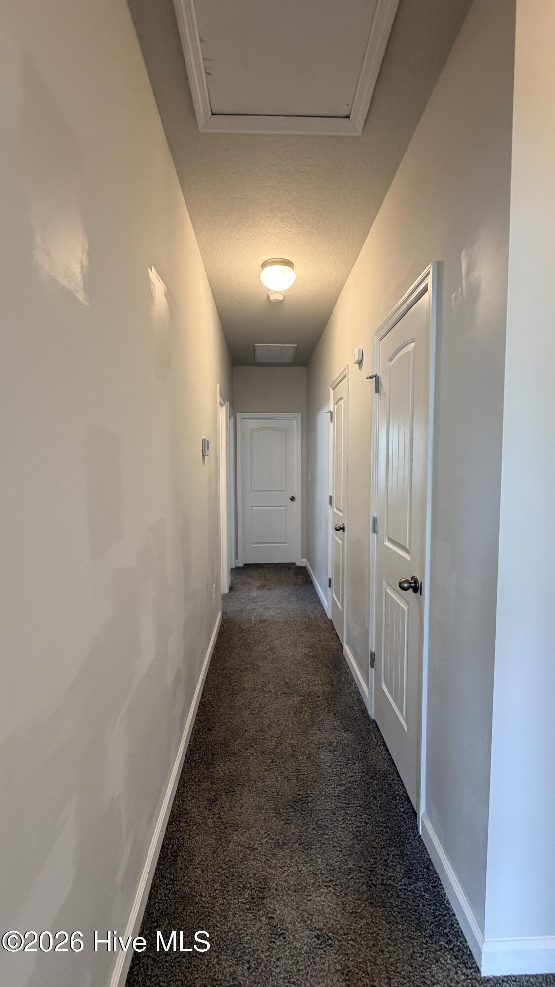 100553003 | Photo 10