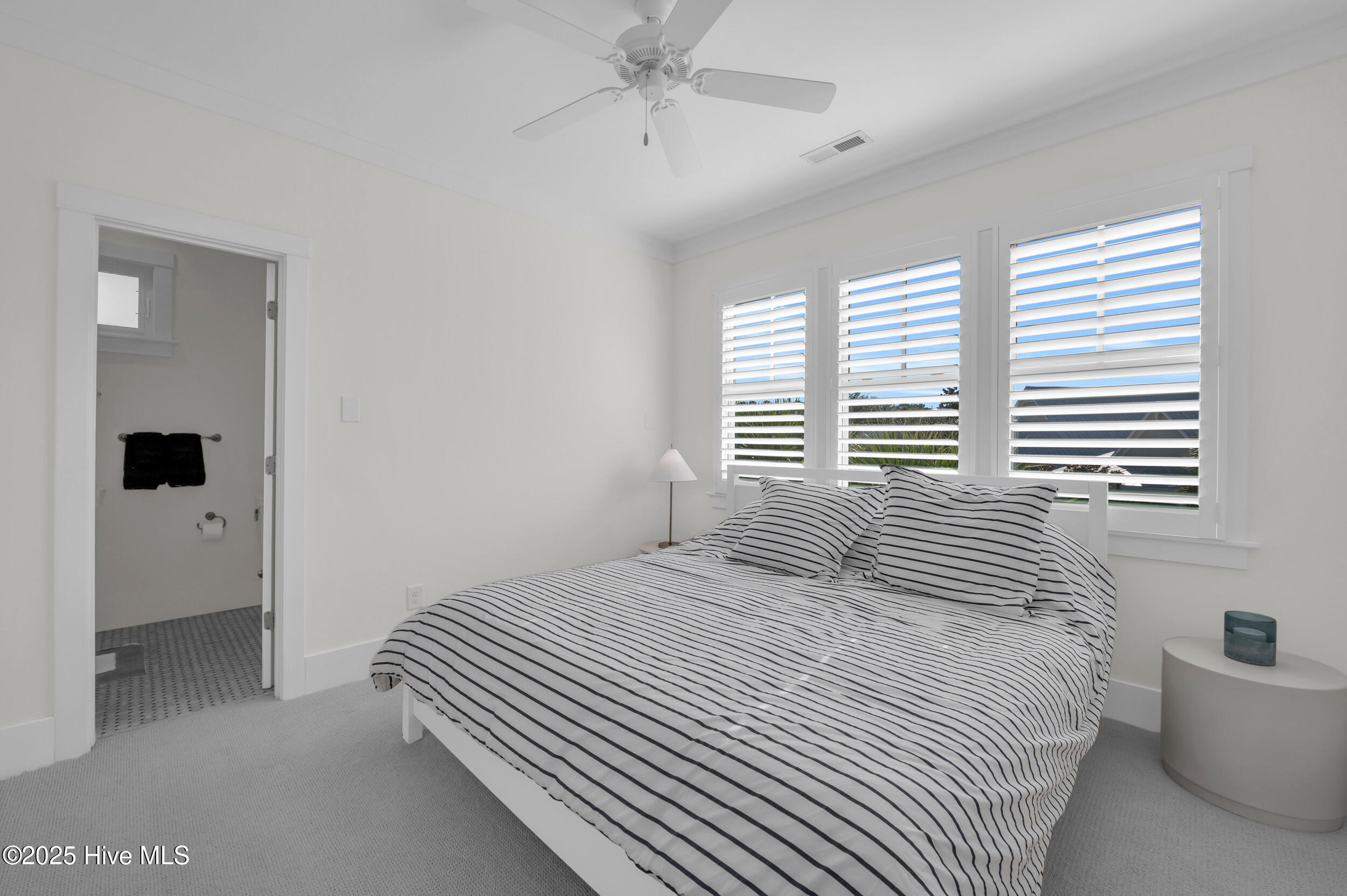 100532568 | Photo 29