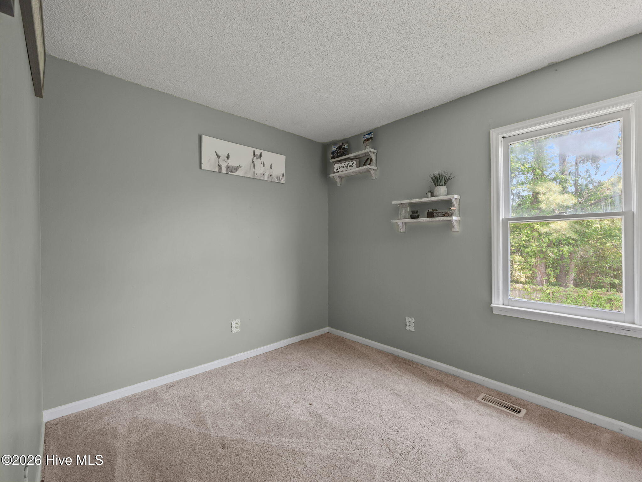 100567530 | Photo 23