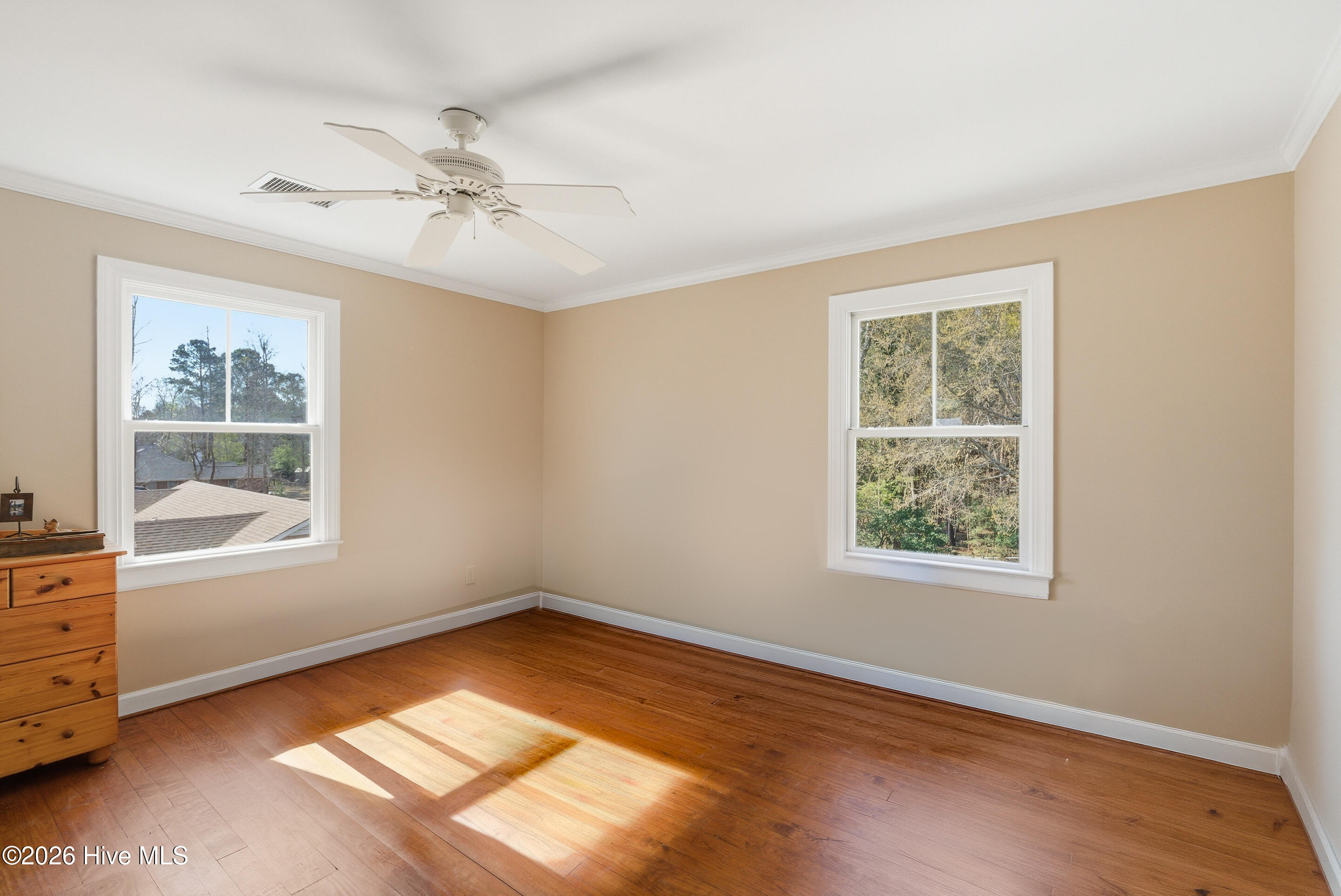 100563536 | Photo 23