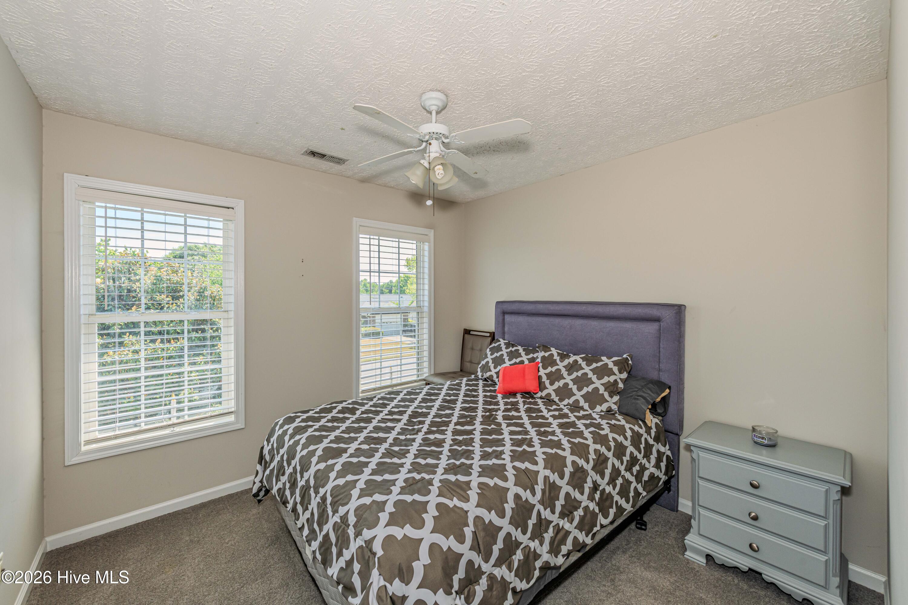 100569182 | Photo 37