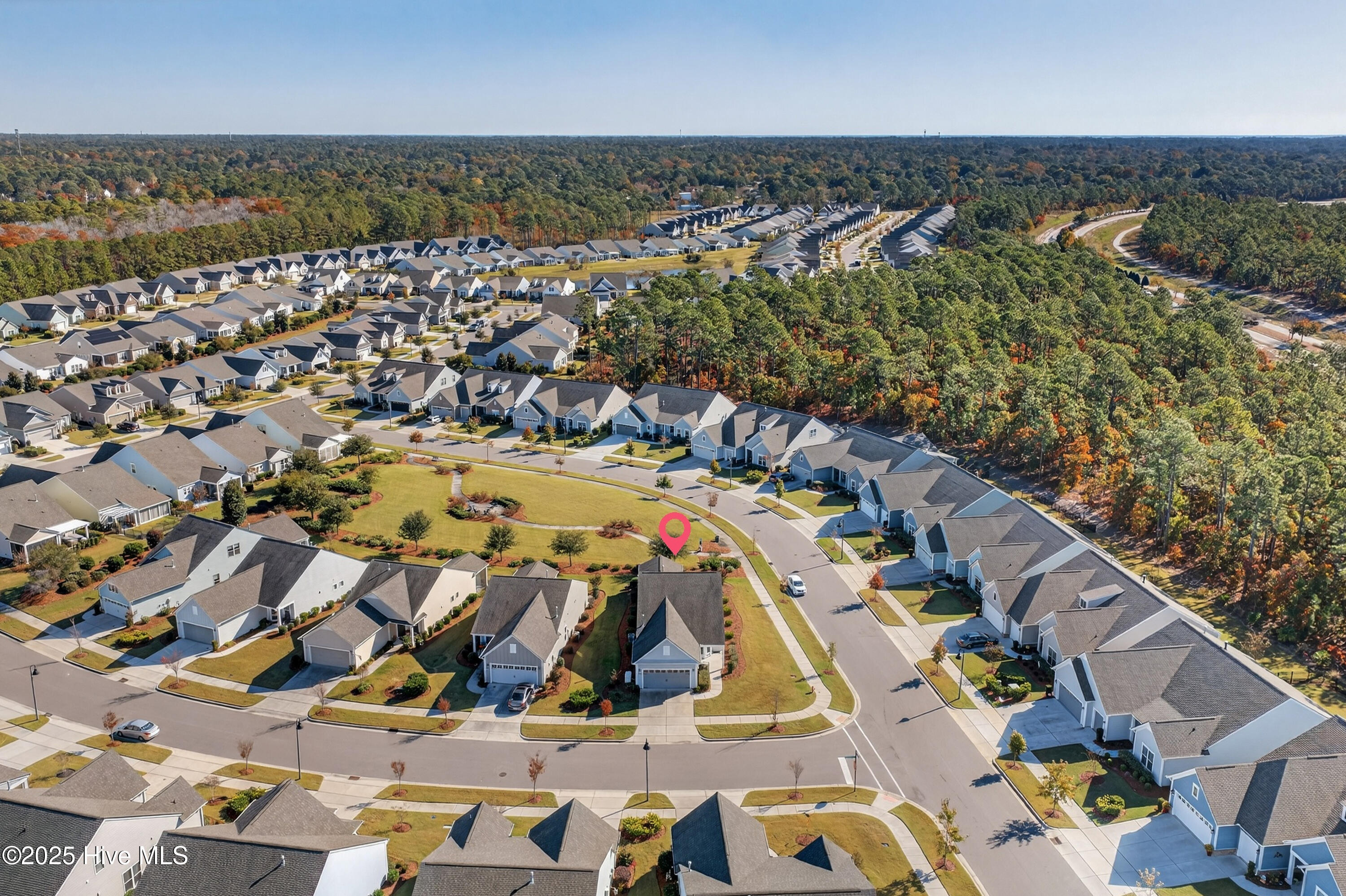 100541390 | Photo 30