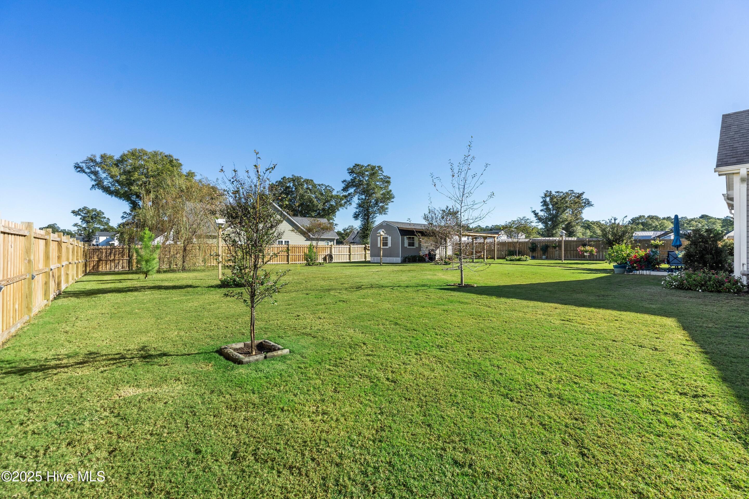 100538815 | Photo 63