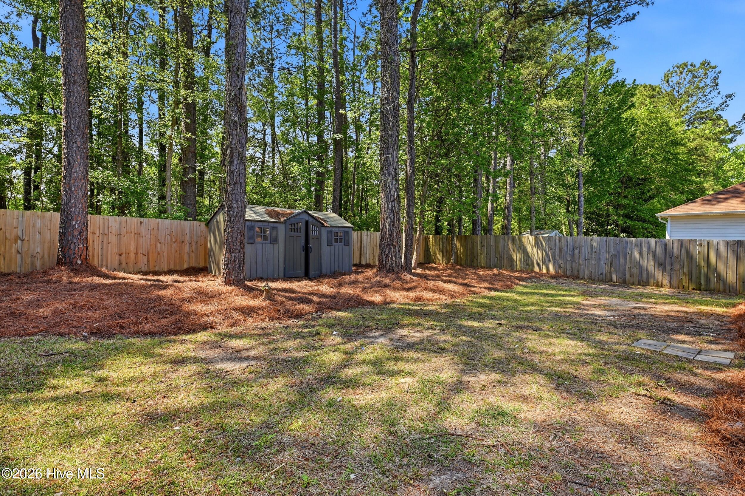 100567216 | Photo 33