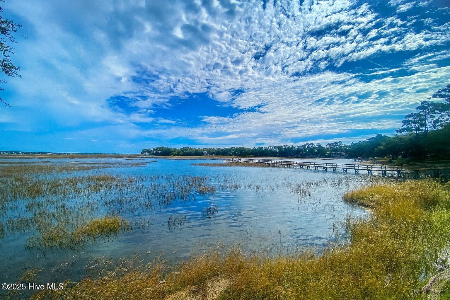 100538347 | Photo 23