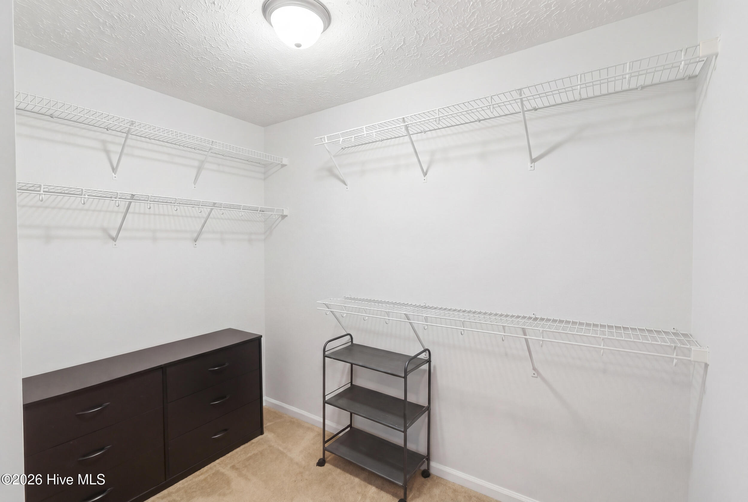 100567725 | Photo 24