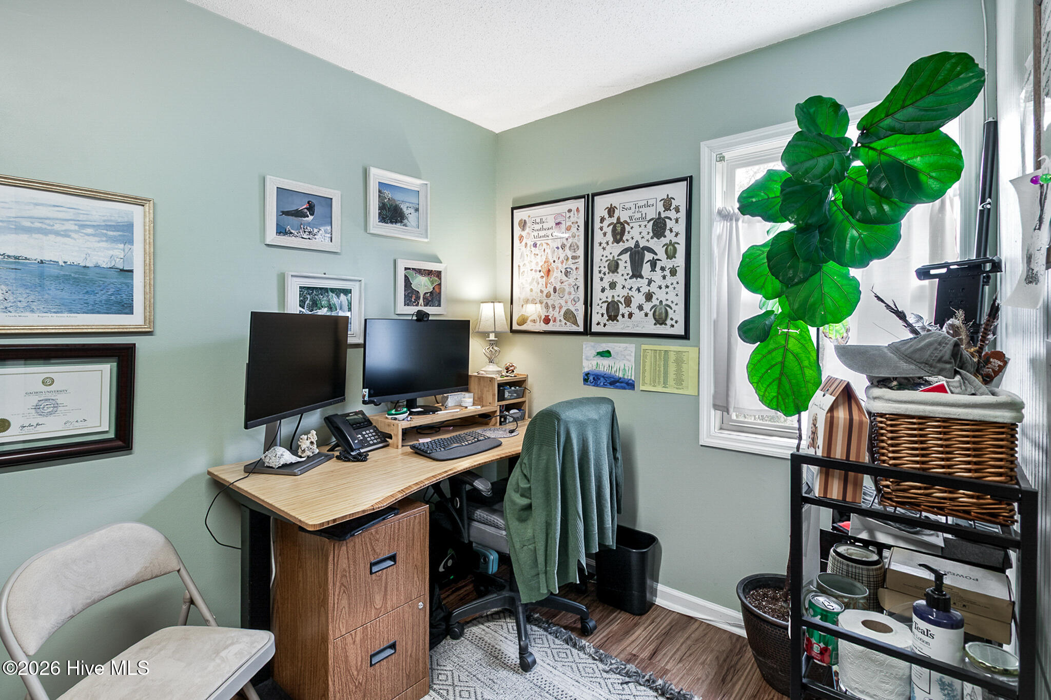 3609/3615 Highway 24, Newport, NC, 28570