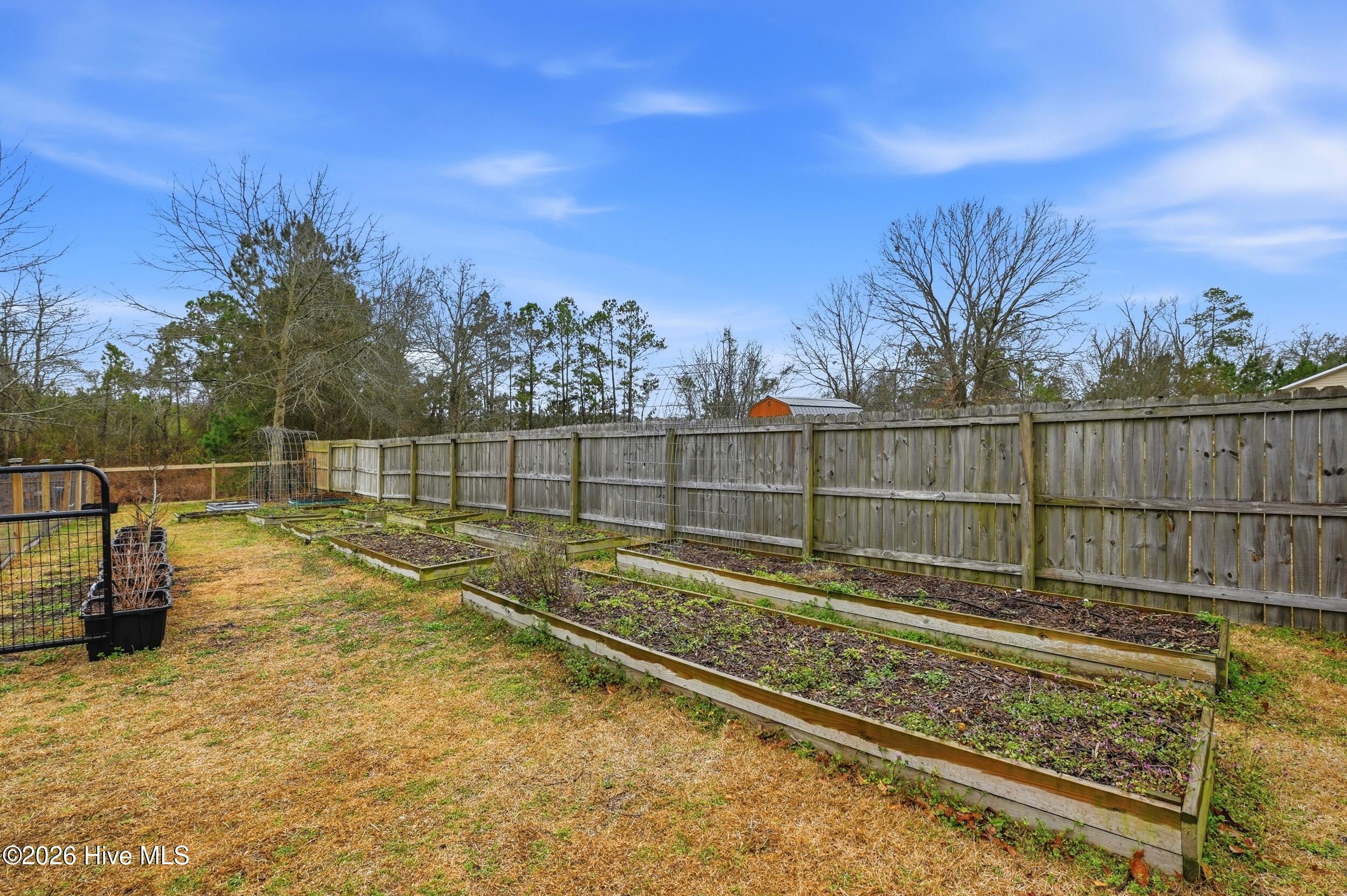 100557508 | Photo 34