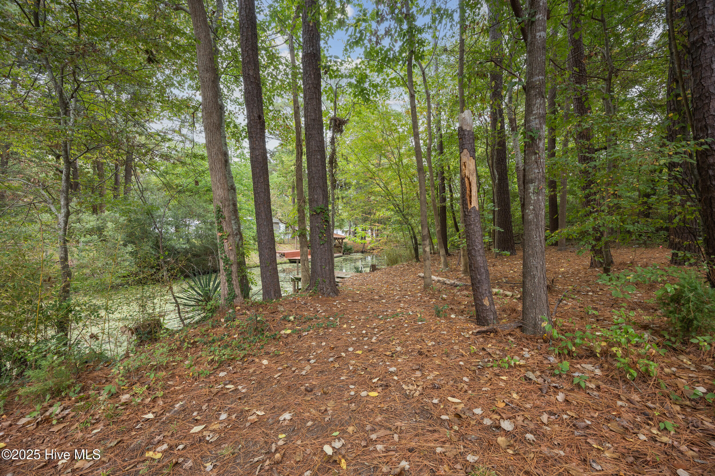 149 Hunt Club Trail, Hertford, NC, 27944