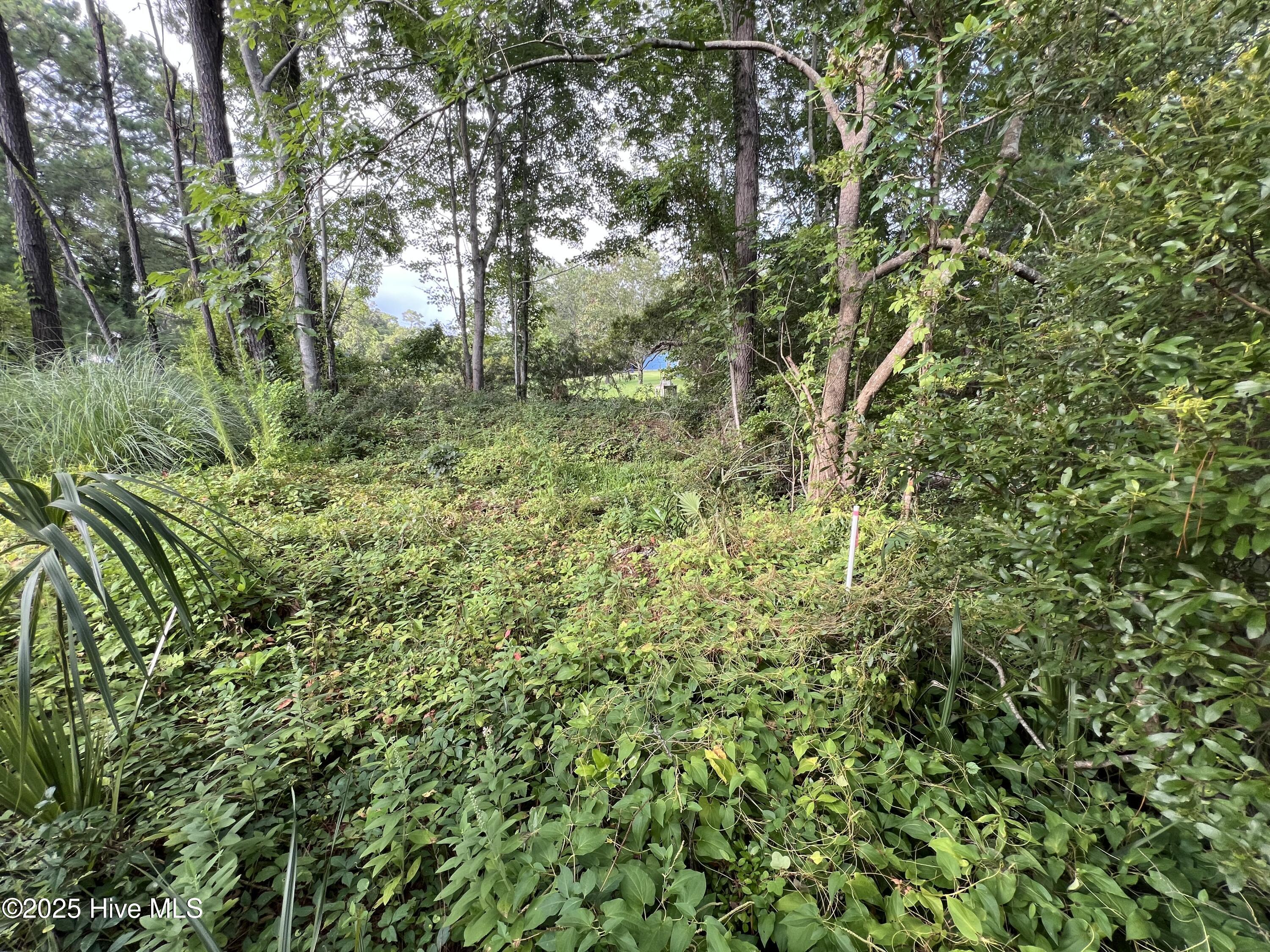 100521126 | Photo 13