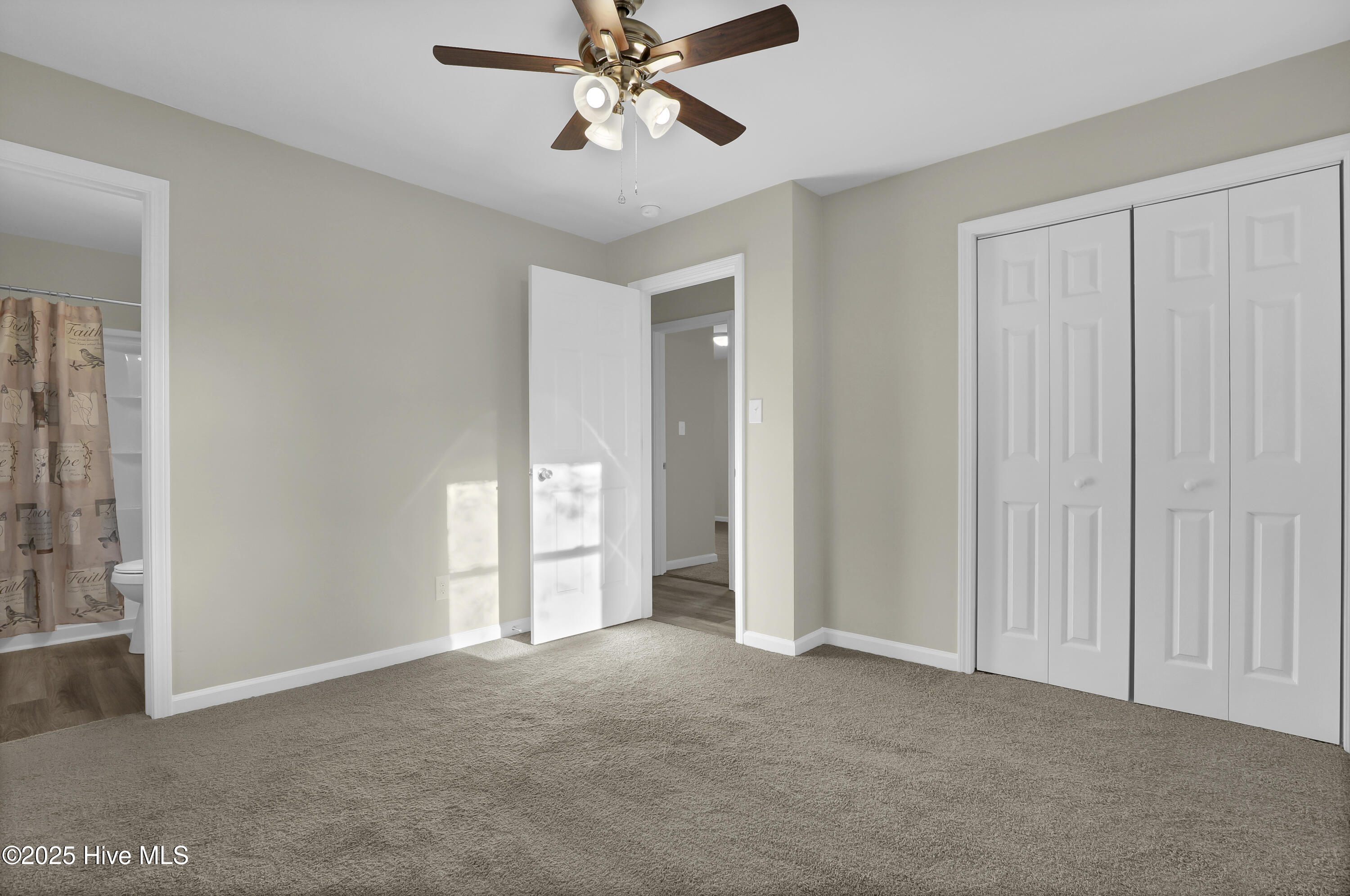 100542523 | Photo 20