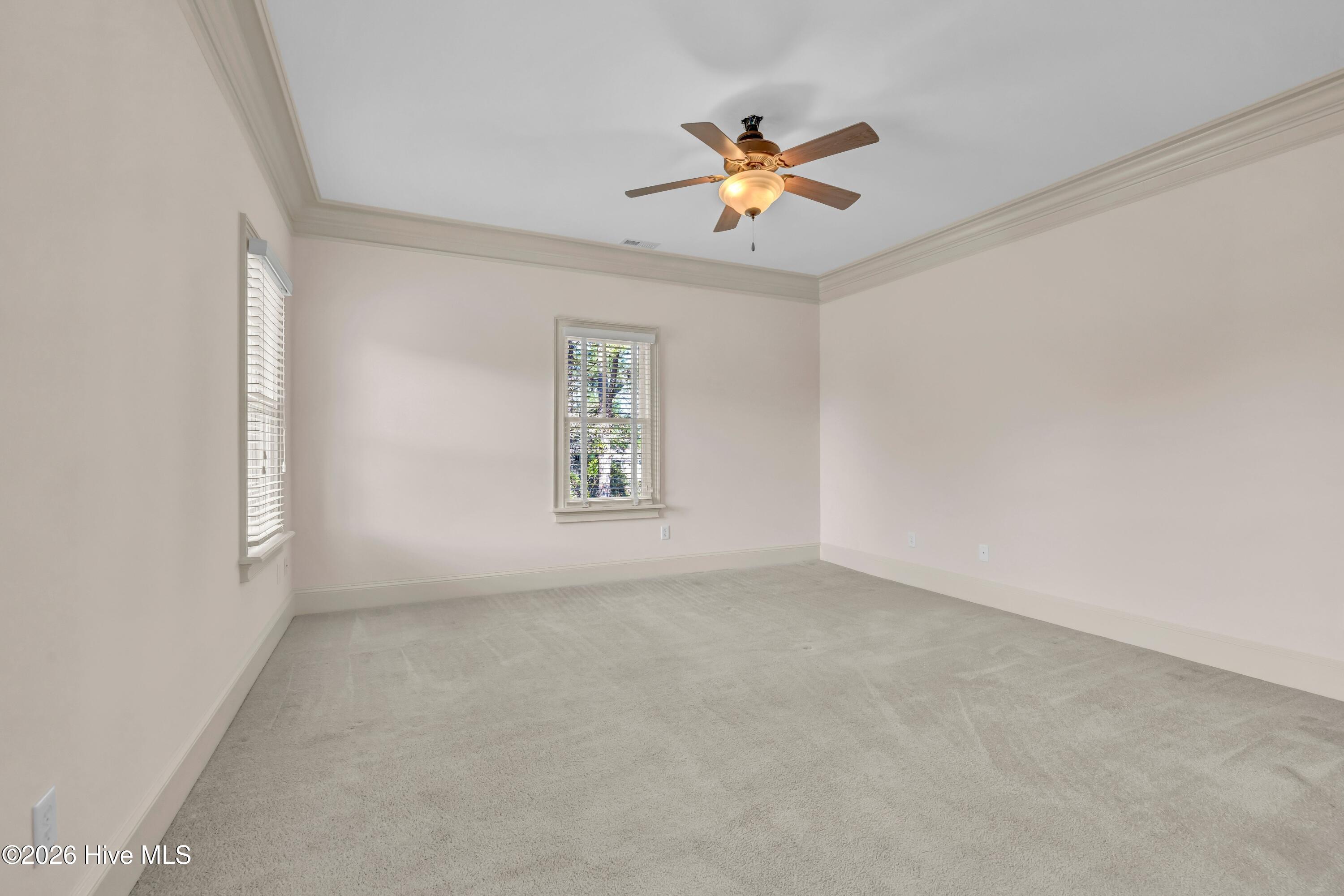 100556623 | Photo 33