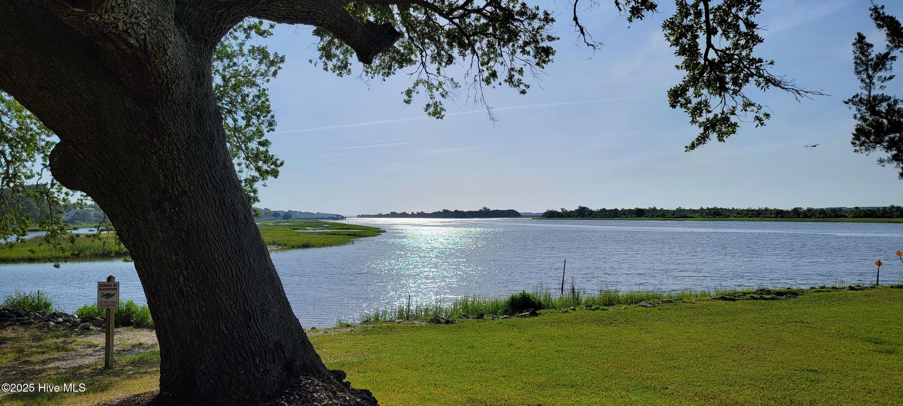 100538721 | Photo 15