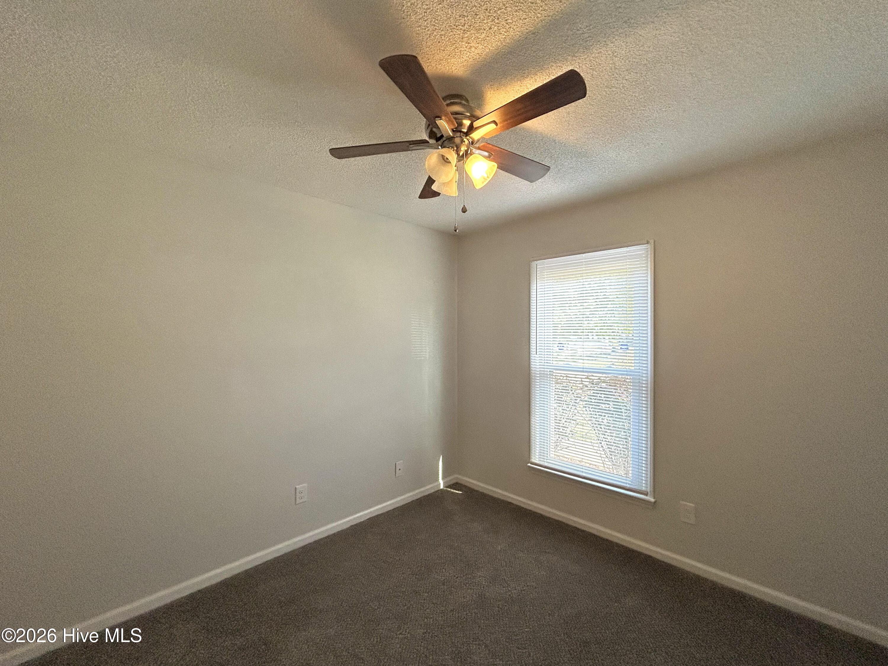 100563583 | Photo 28