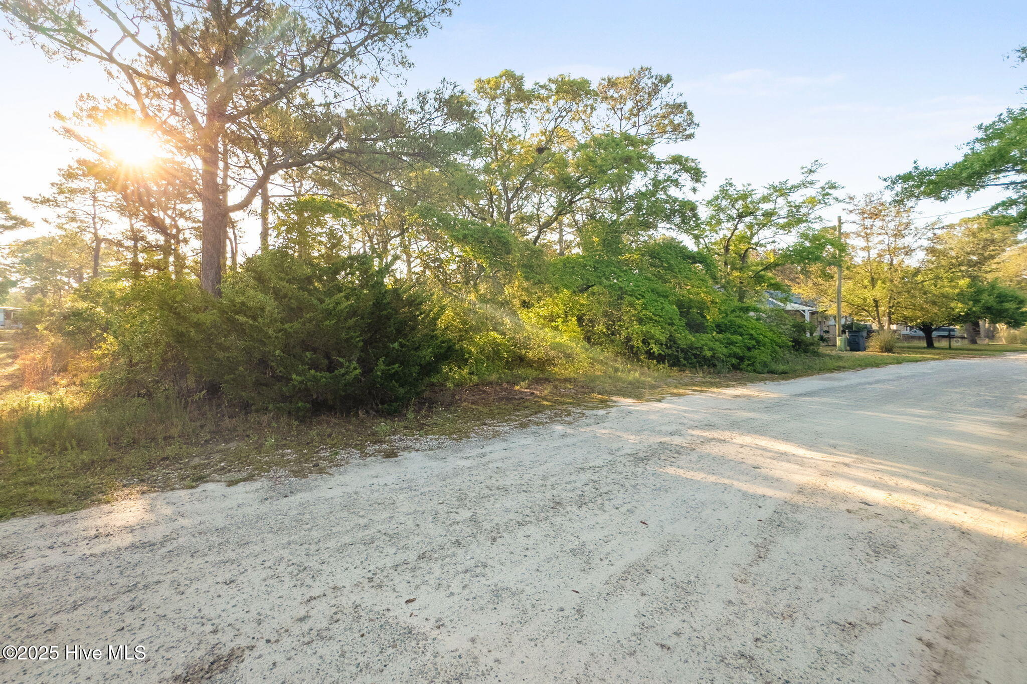 100504282 | Photo 11