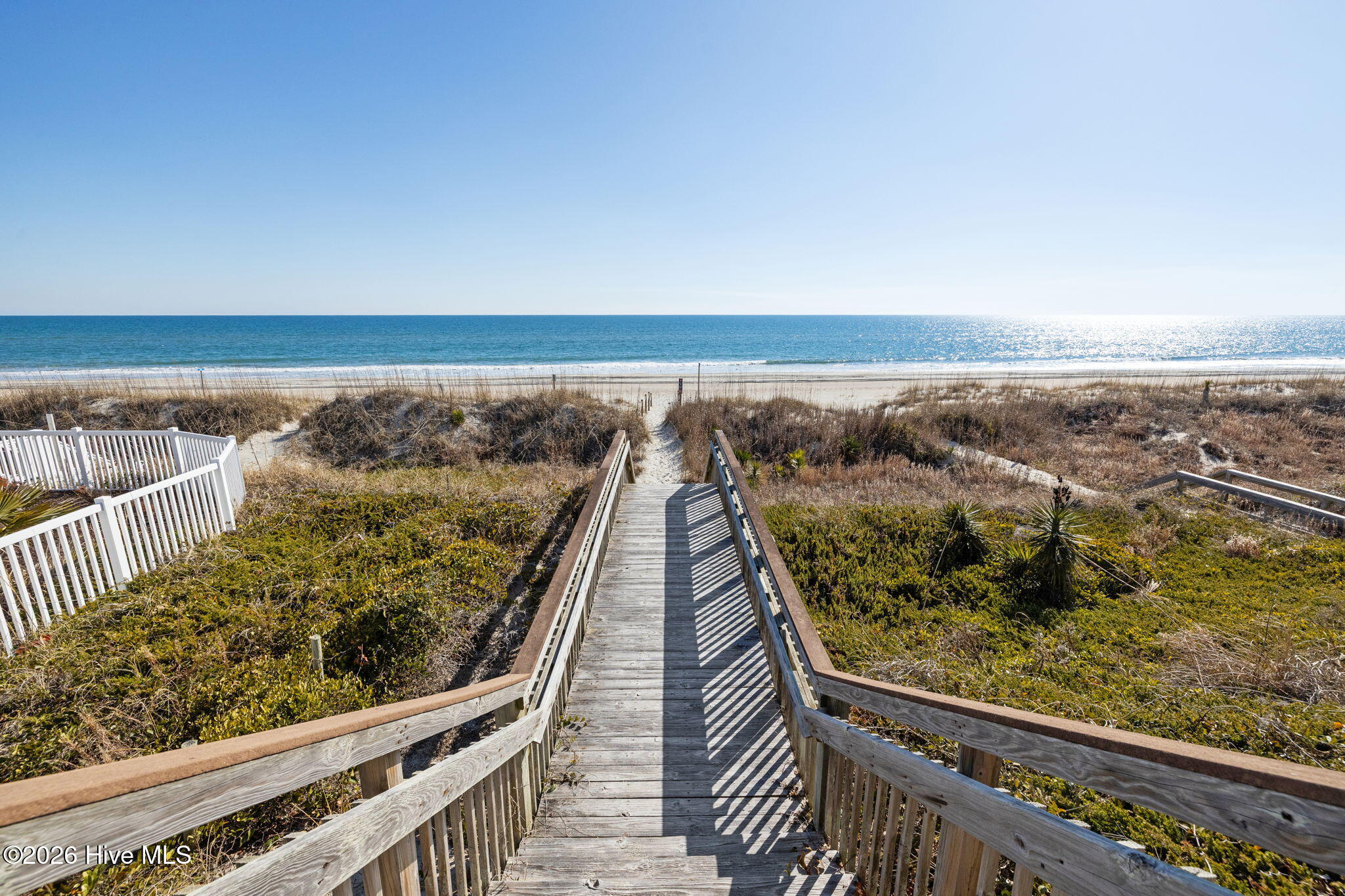 100554841 | Photo 45