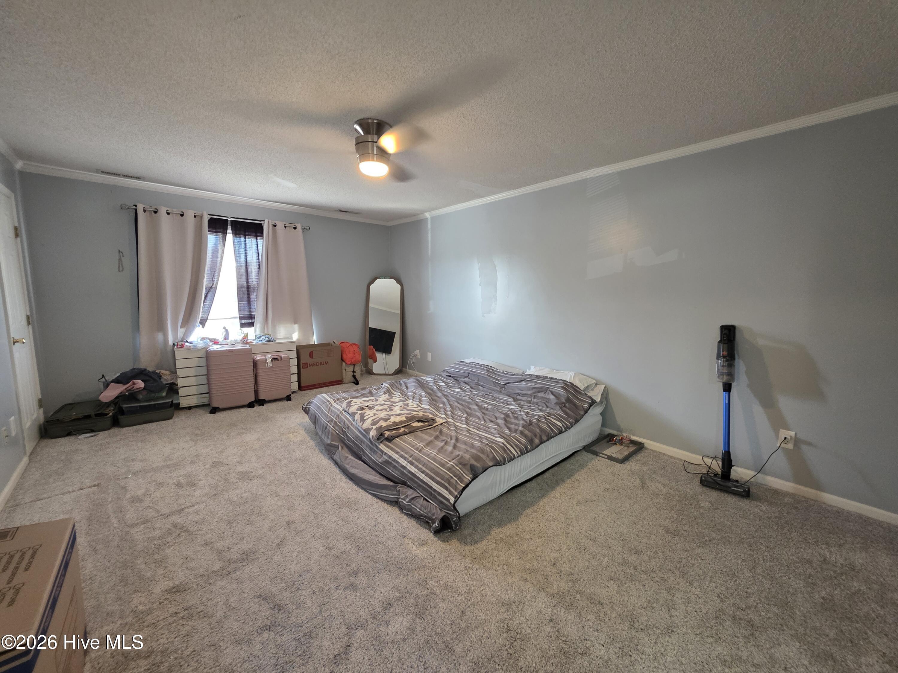 100553937 | Photo 10