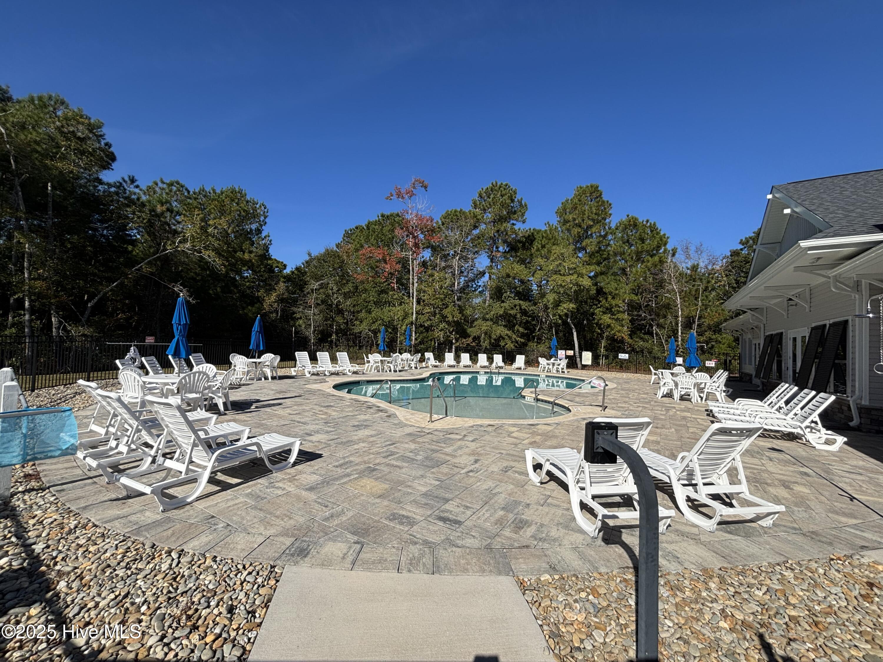 100521809 | Photo 47