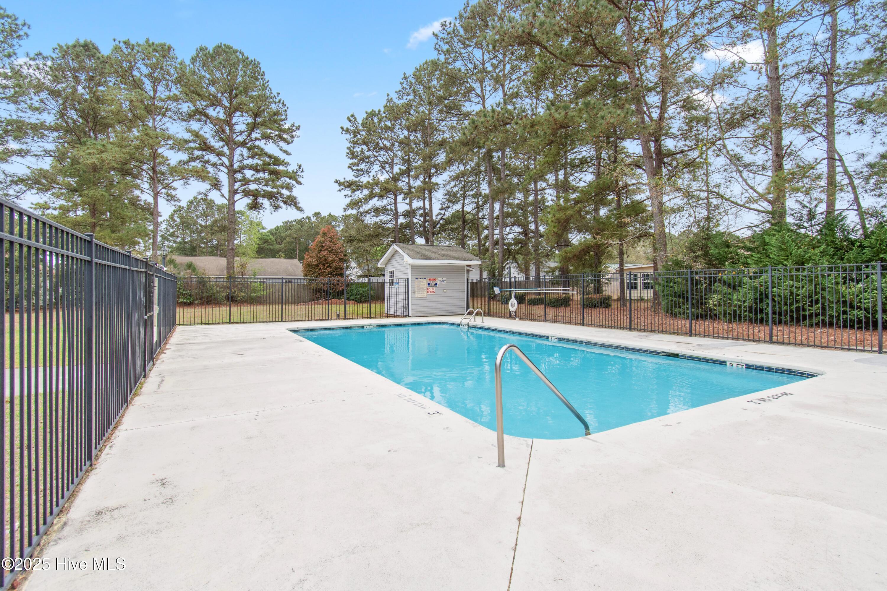 100509248 | Photo 56