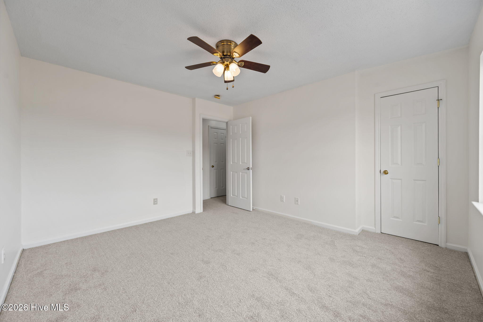 100562645 | Photo 23